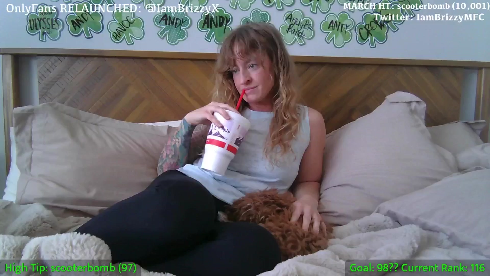 Gallery image thumbnail from Brizzy's myfreecams stream on, 03/19/2025, 20:25 image 20 of 20