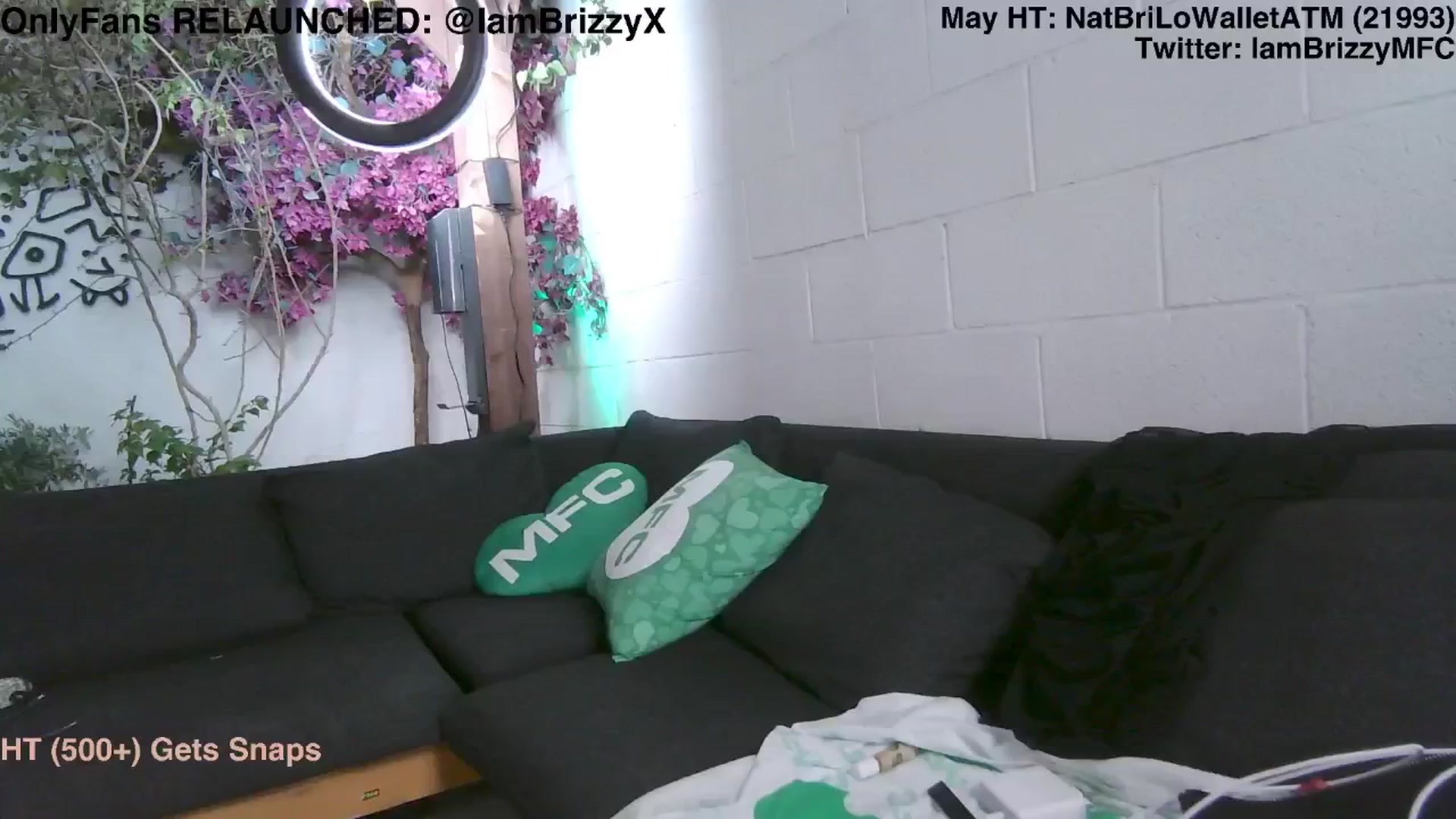 Gallery image thumbnail from Brizzy's myfreecams stream on, 05/20/2025, 05:23 image 15 of 20