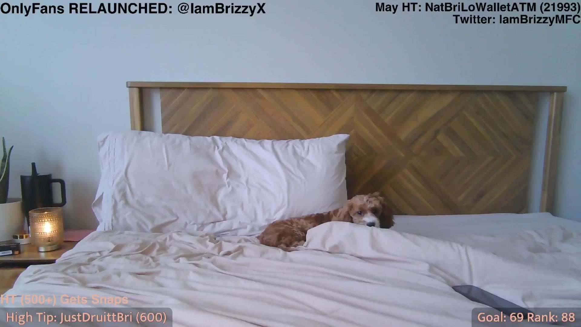 Gallery image thumbnail from Brizzy's myfreecams stream on, 05/30/2025, 20:56 image 2 of 20