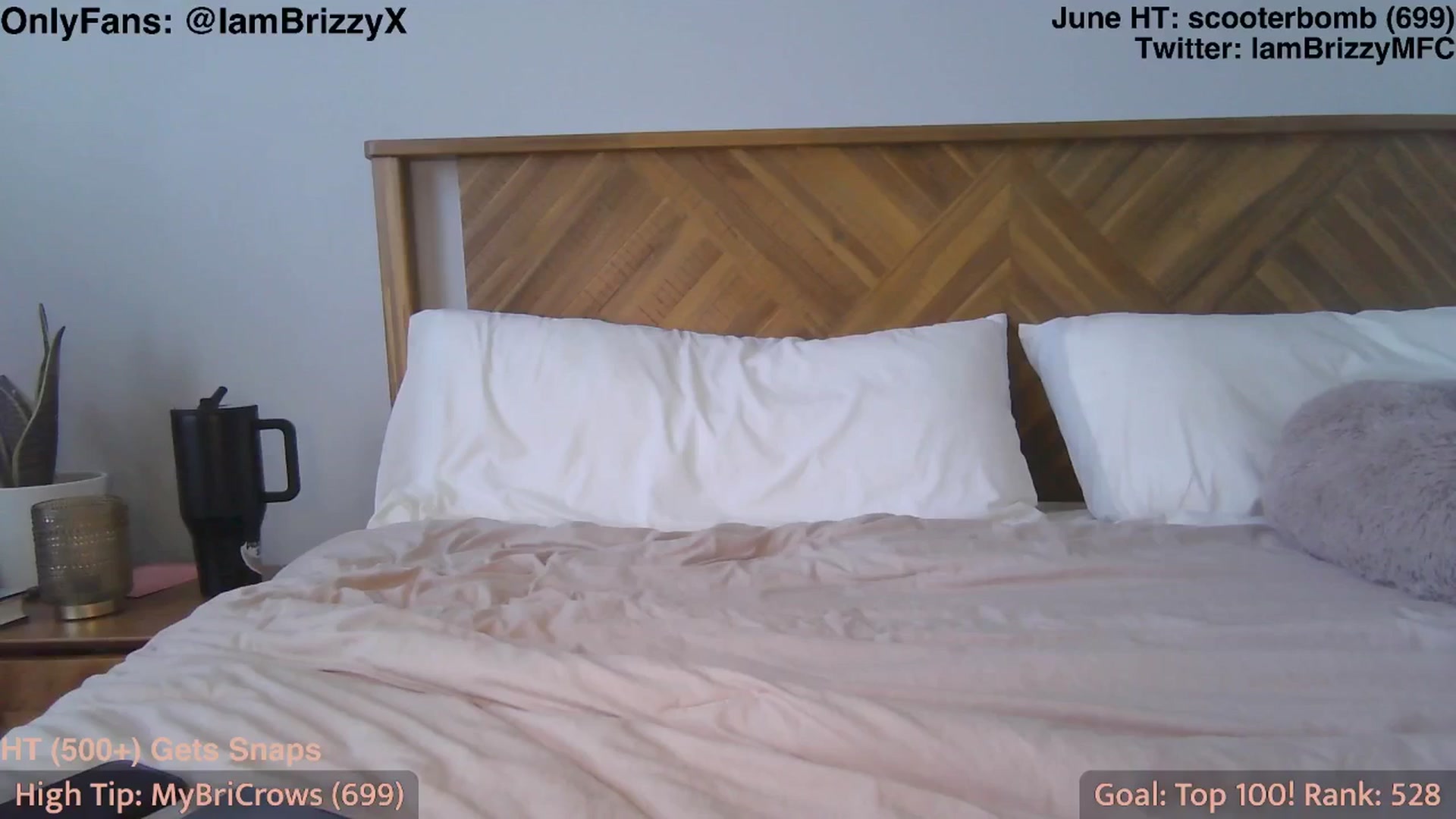 Gallery image thumbnail from Brizzy's myfreecams stream on, 06/01/2025, 20:27 image 6 of 20