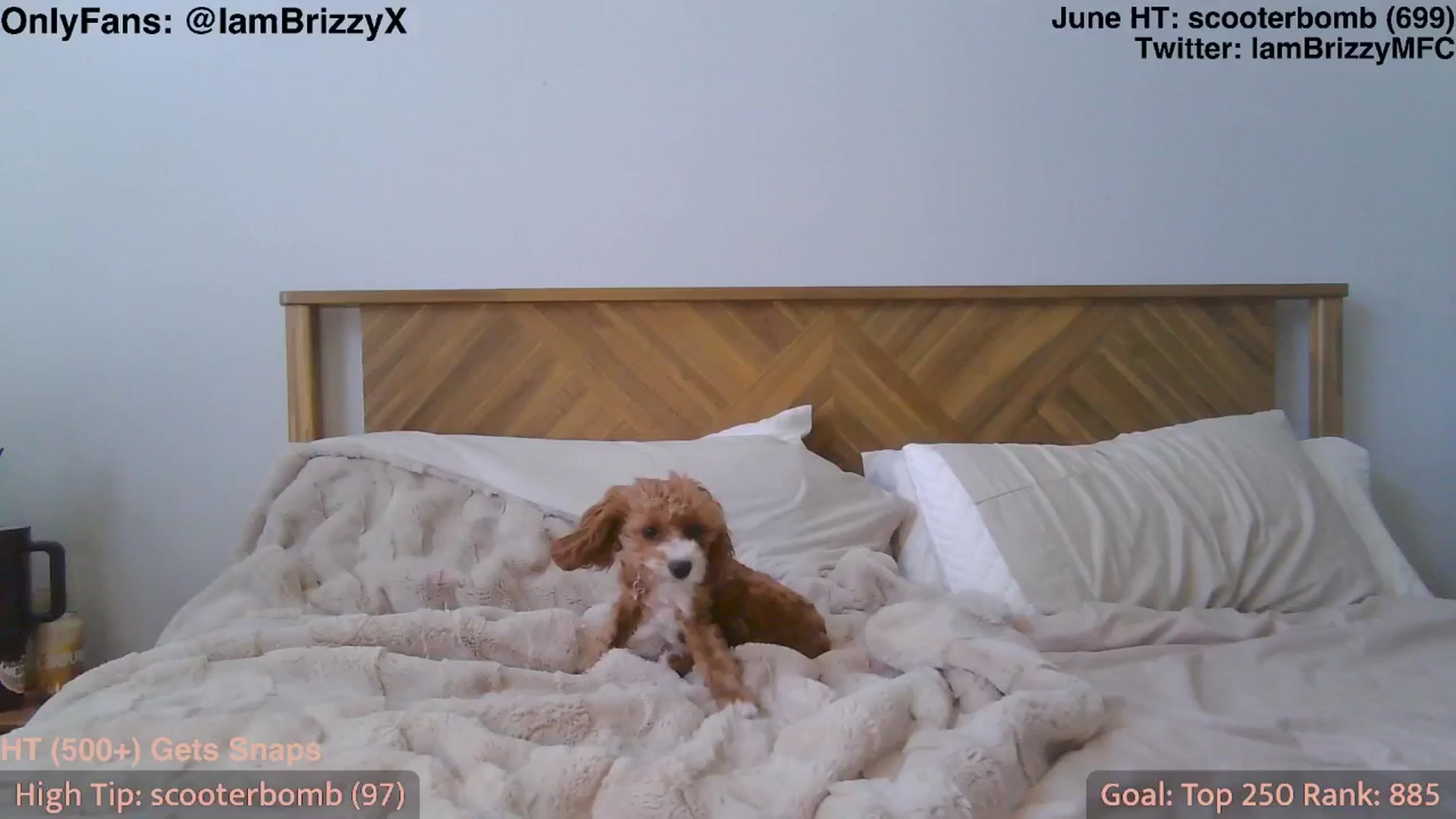 Gallery image thumbnail from Brizzy's myfreecams stream on, 06/04/2025, 21:03 image 3 of 20