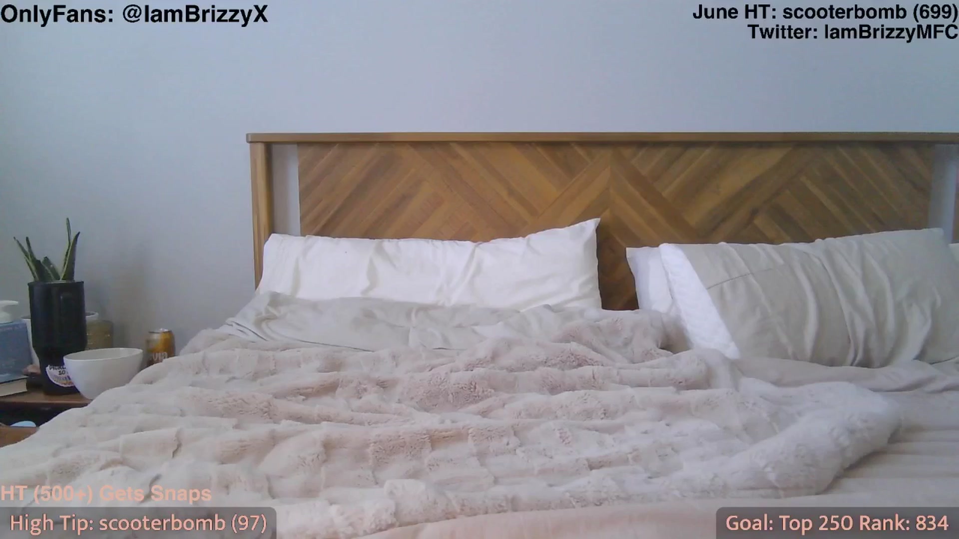 Gallery image thumbnail from Brizzy's myfreecams stream on, 06/04/2025, 21:03 image 15 of 20