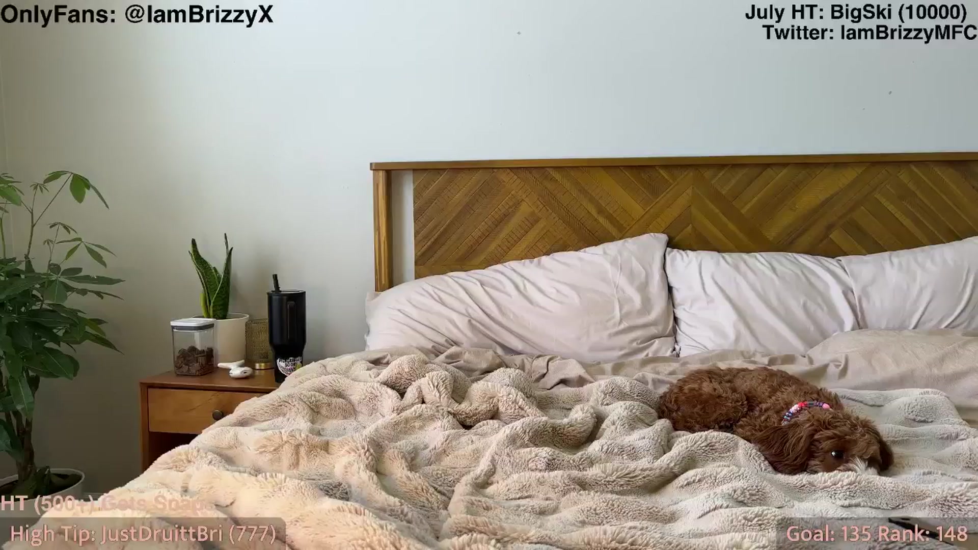 Gallery image thumbnail from Brizzy's myfreecams stream on, 07/14/2025, 21:41 image 11 of 20