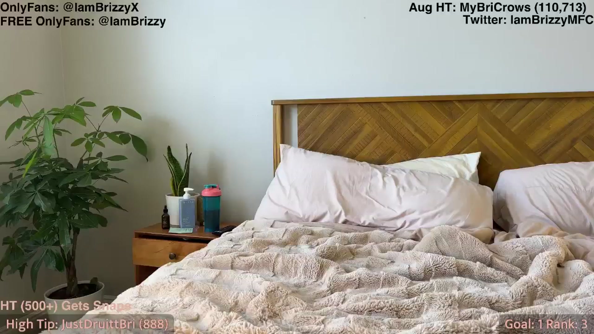 Gallery image thumbnail from Brizzy's myfreecams stream on, 08/02/2025, 22:47 image 13 of 20
