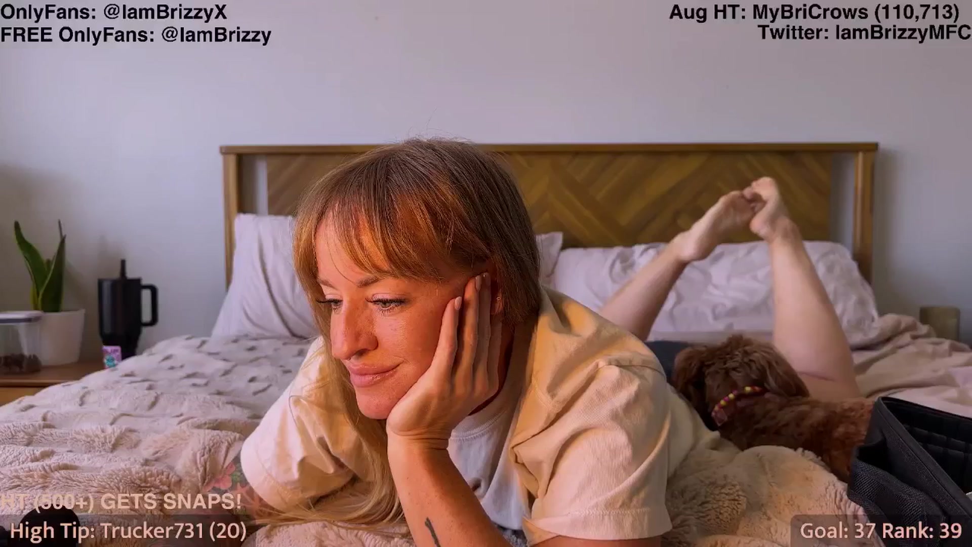 Gallery image thumbnail from Brizzy's myfreecams stream on, 08/19/2025, 19:43 image 13 of 20