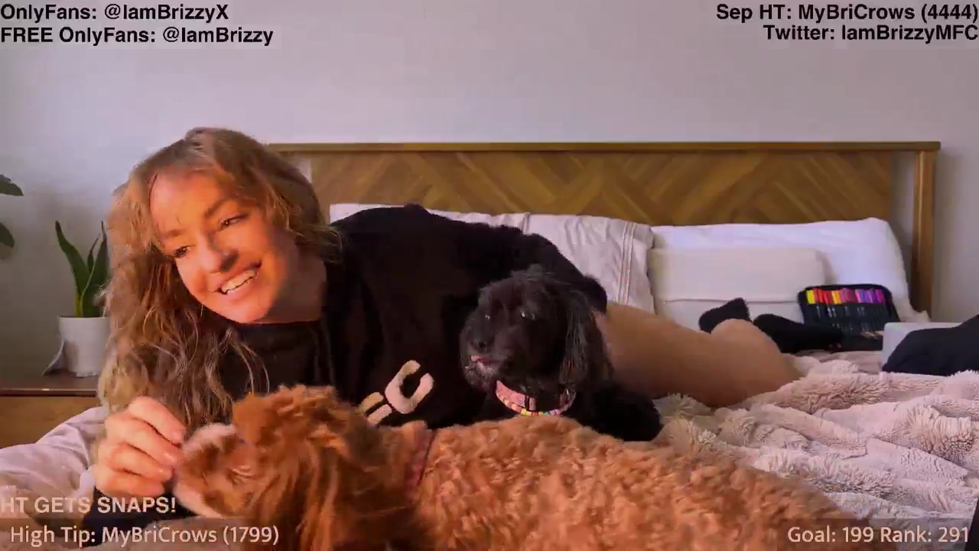 Gallery image thumbnail from Brizzy's myfreecams stream on, 09/24/2025, 21:04 image 10 of 20