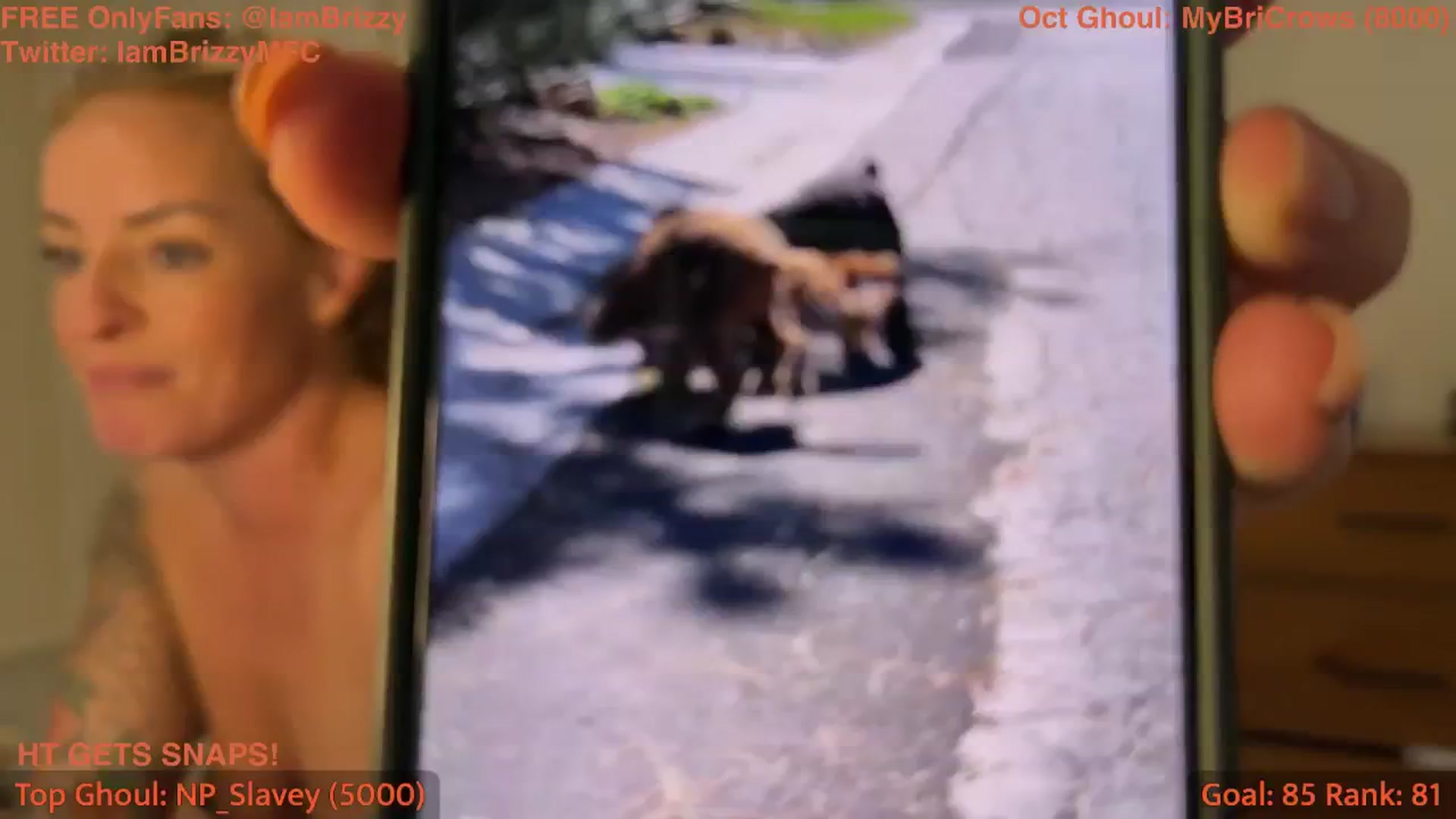 Gallery image thumbnail from Brizzy's myfreecams stream on, 10/03/2025, 21:09 image 8 of 20