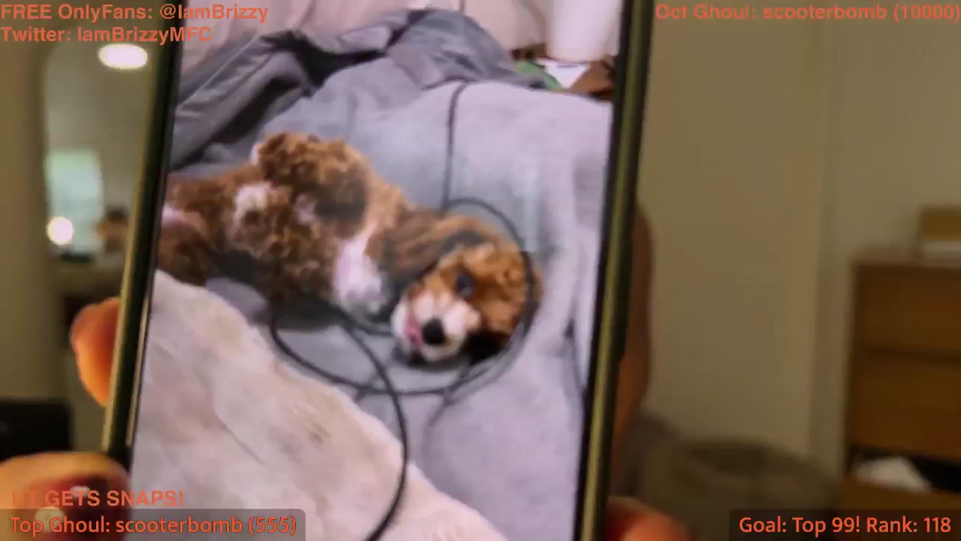 Gallery image thumbnail from Brizzy's myfreecams stream on, 10/05/2025, 21:25 image 17 of 20