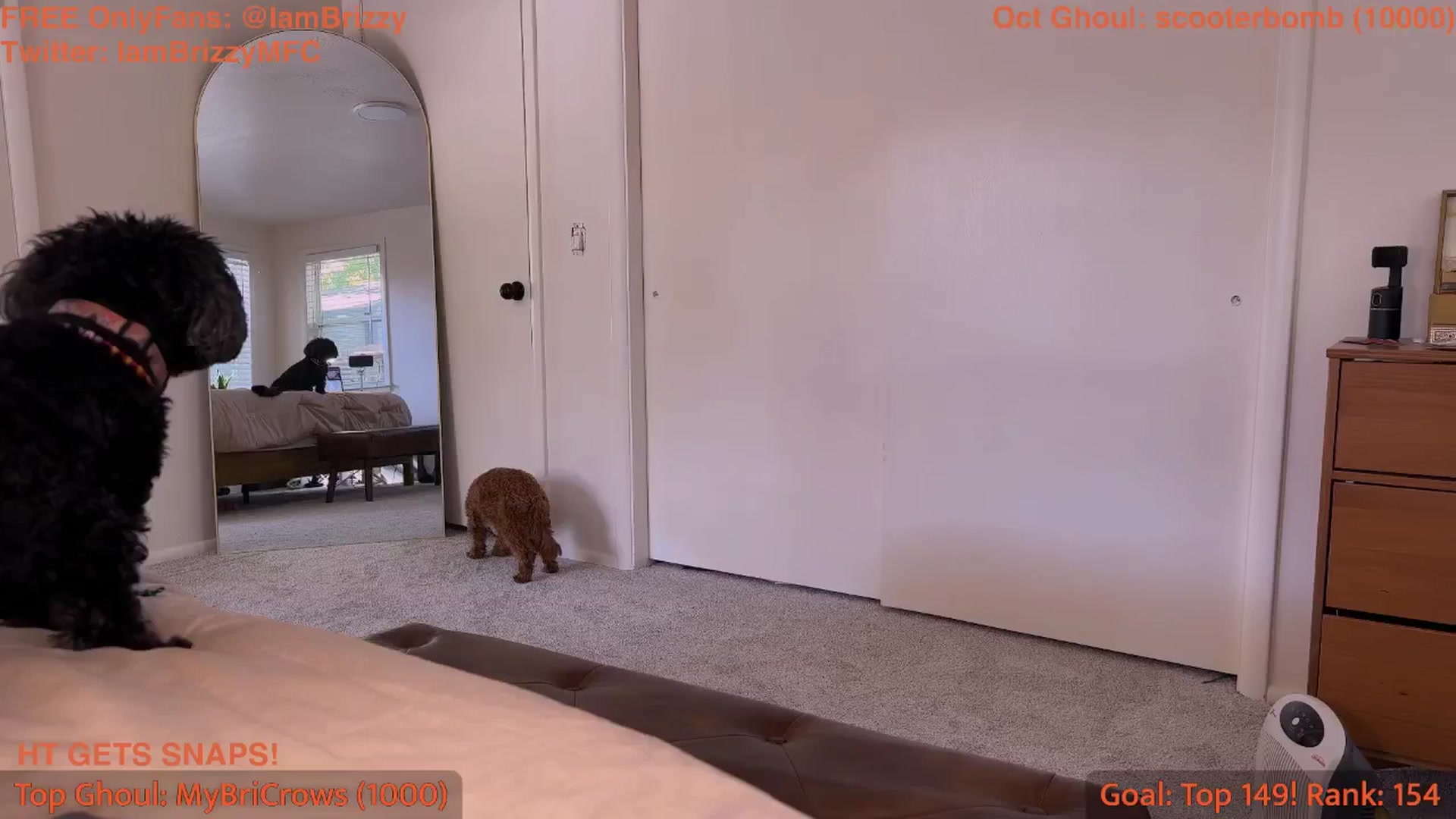 Gallery image thumbnail from Brizzy's myfreecams stream on, 10/17/2025, 21:17 image 7 of 20