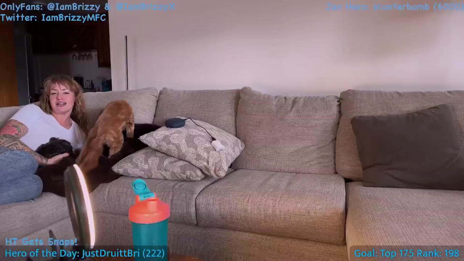 Gallery image thumbnail from Brizzy's myfreecams stream on, 01/08/2026, 21:52 image 9 of 20