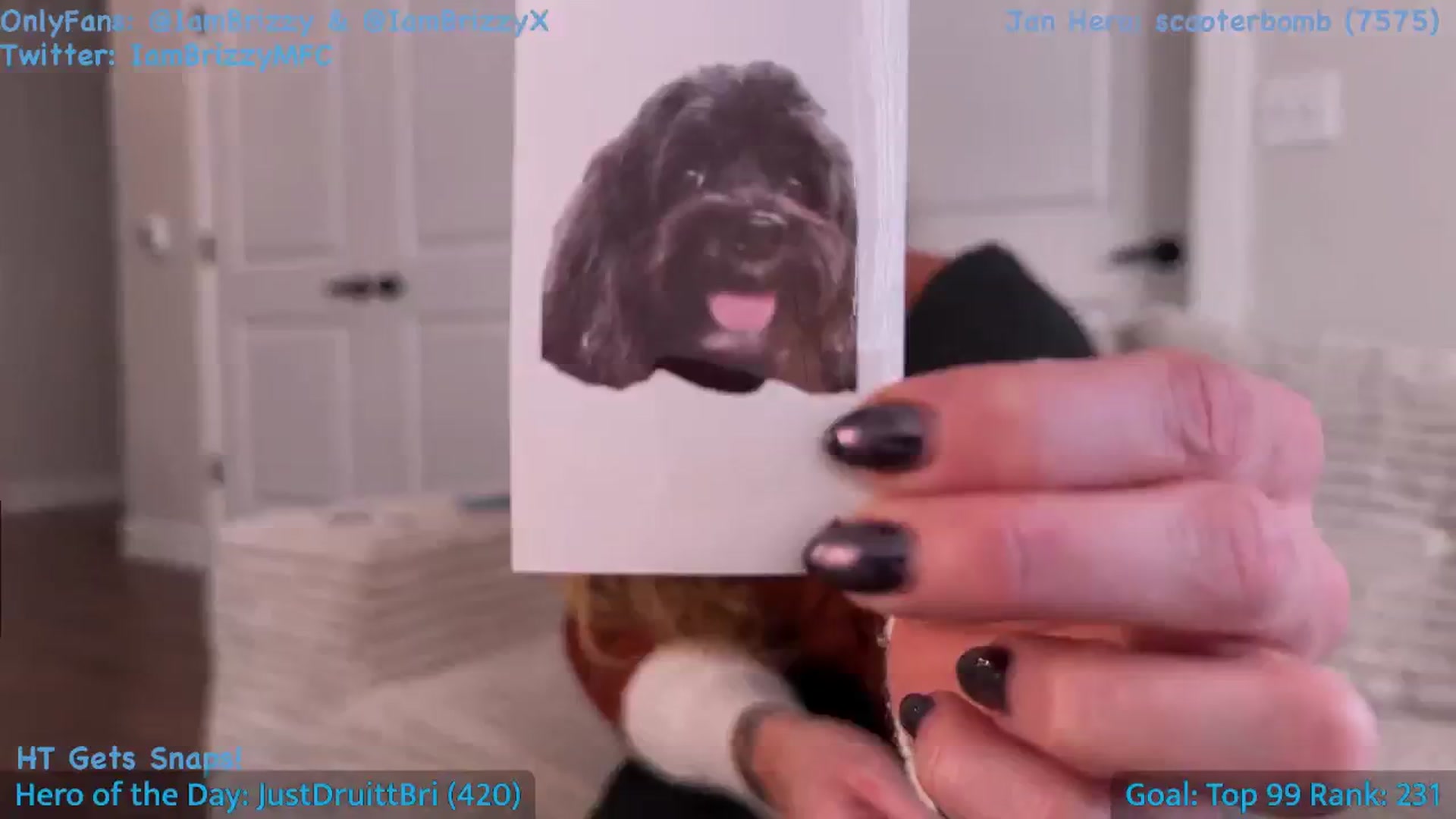 Gallery image thumbnail from Brizzy's myfreecams stream on, 01/17/2026, 24:26 image 11 of 20