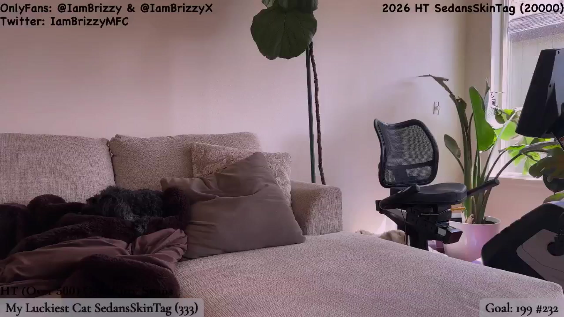 Gallery image thumbnail from Brizzy's myfreecams stream on, 03/30/2026, 20:37 image 16 of 20