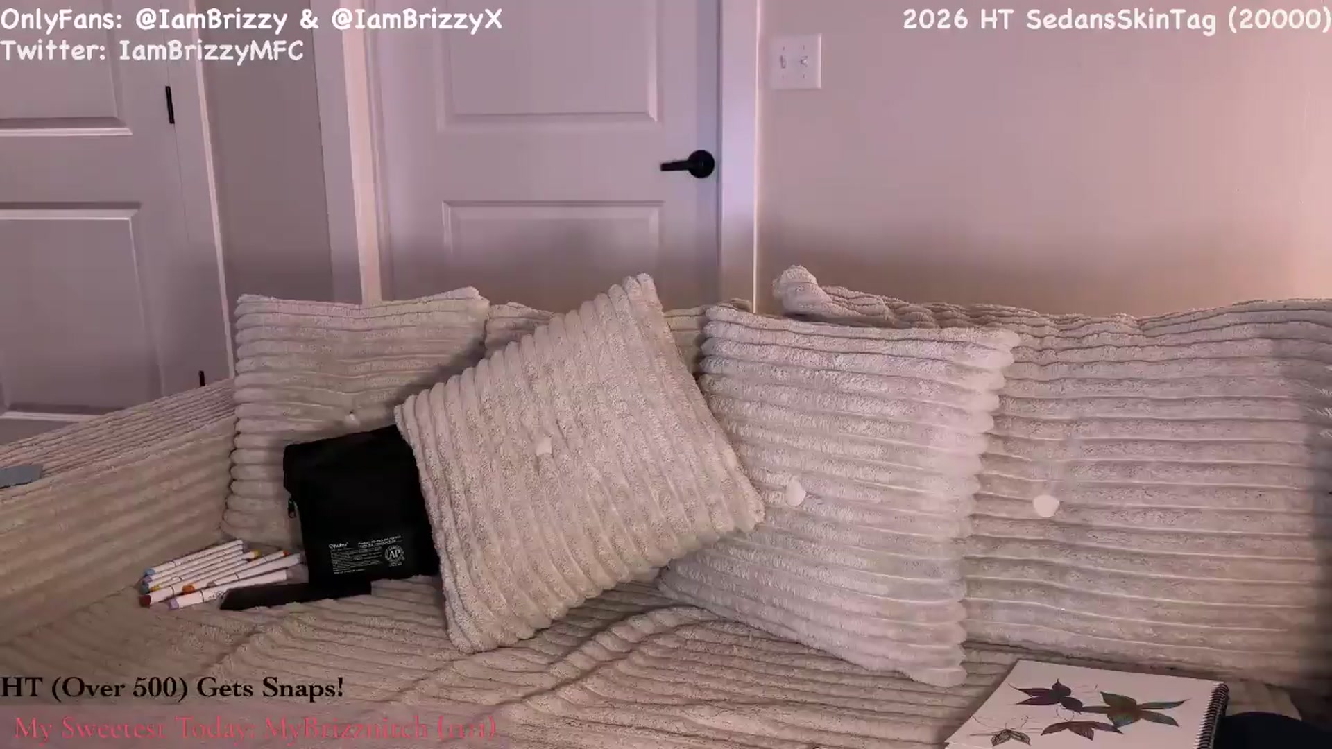 Gallery image thumbnail from Brizzy's myfreecams stream on, 04/26/2026, 04:06 image 10 of 20