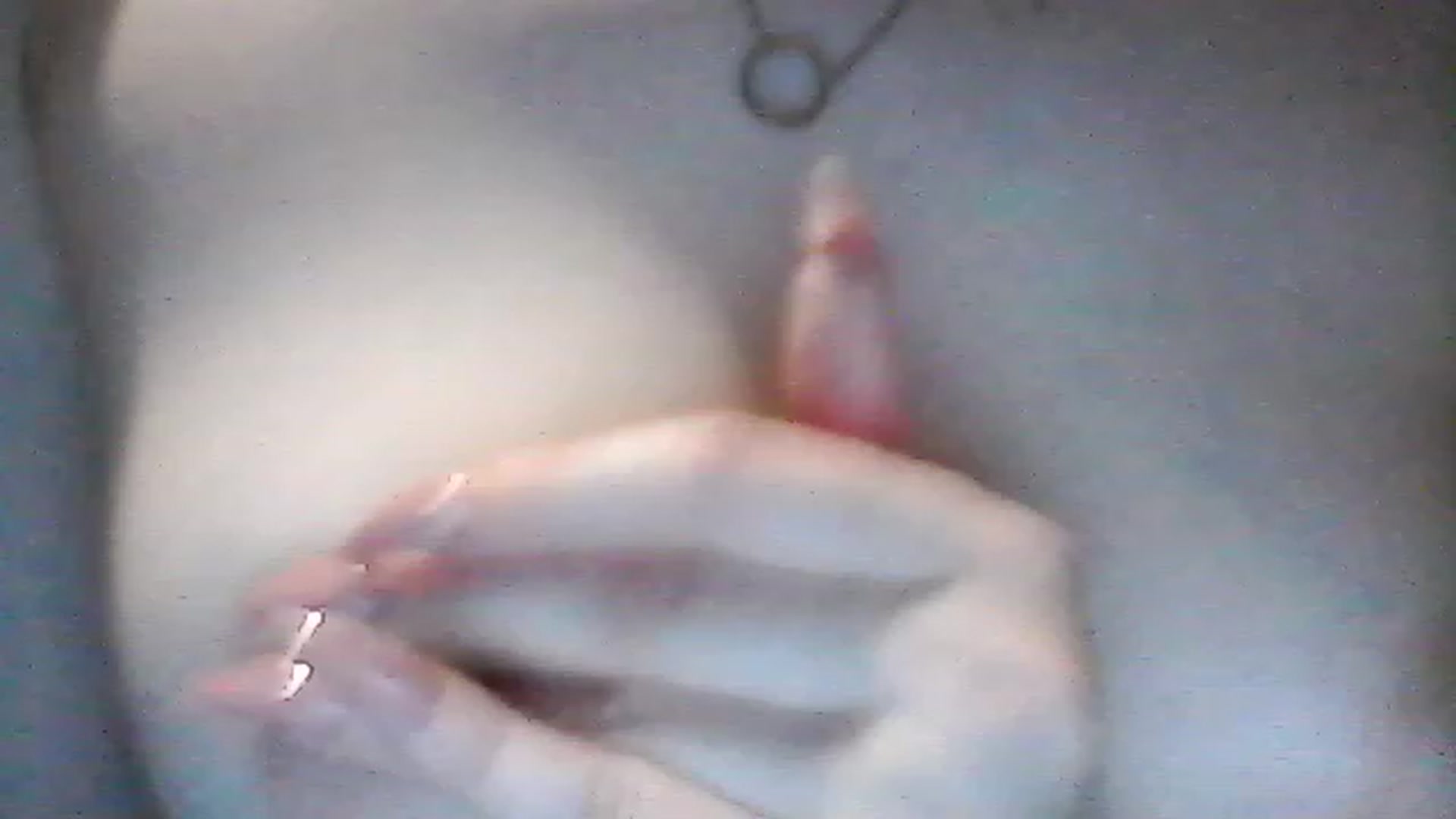 Gallery image thumbnail from Brocard's myfreecams stream on, 06/04/2023, 22:23 image 13 of 20