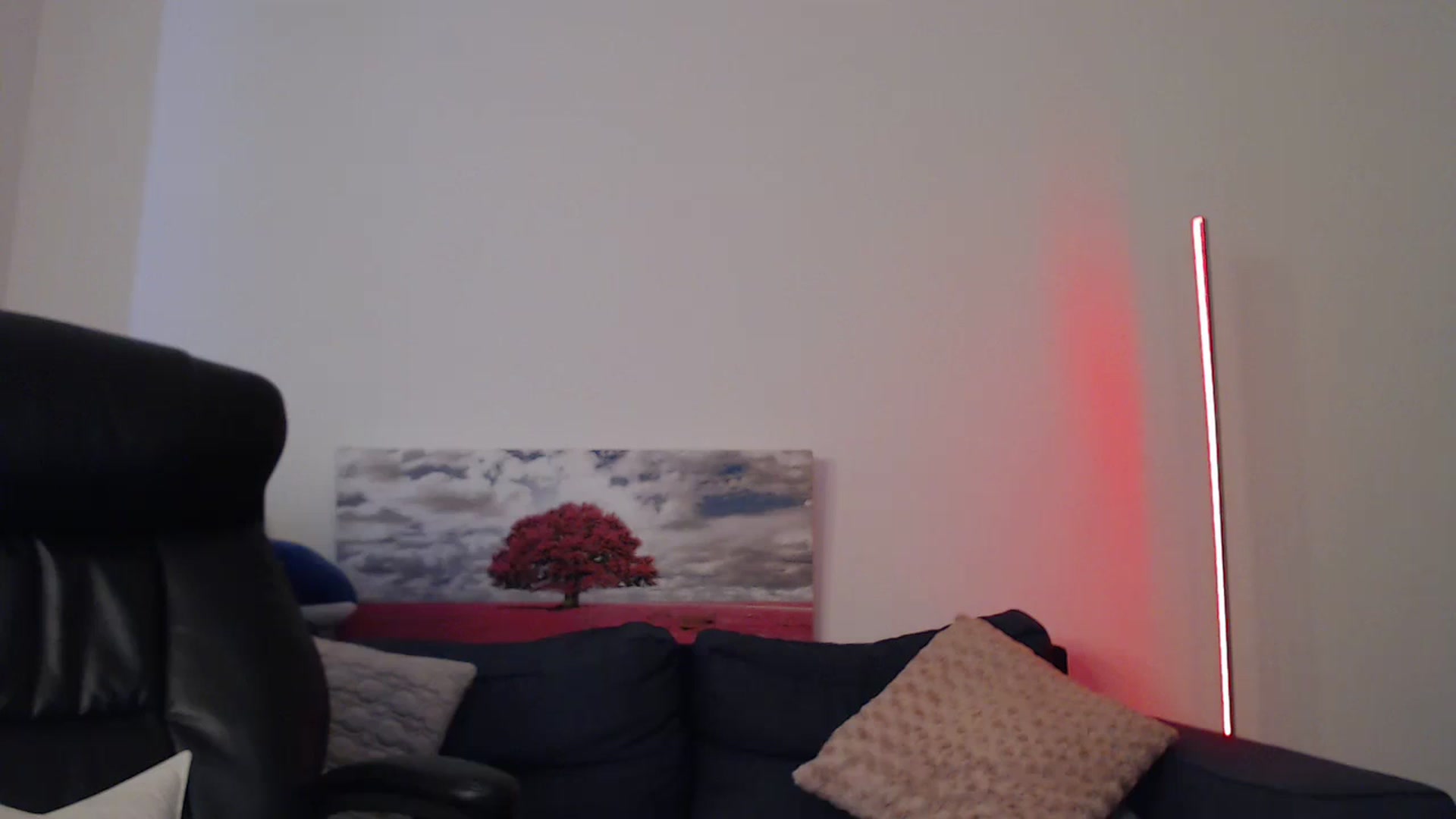 Gallery image thumbnail from Brocard's myfreecams stream on, 06/05/2024, 12:13 image 6 of 20