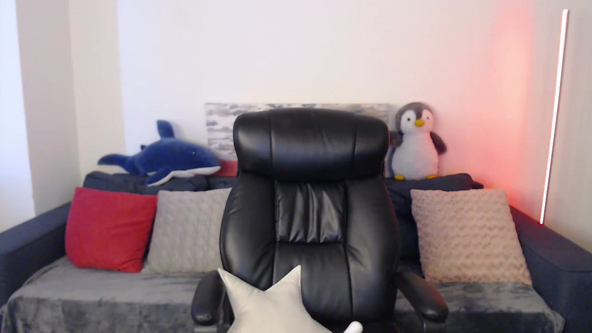Gallery image thumbnail from Brocard's myfreecams stream on, 06/09/2024, 09:03 image 16 of 20
