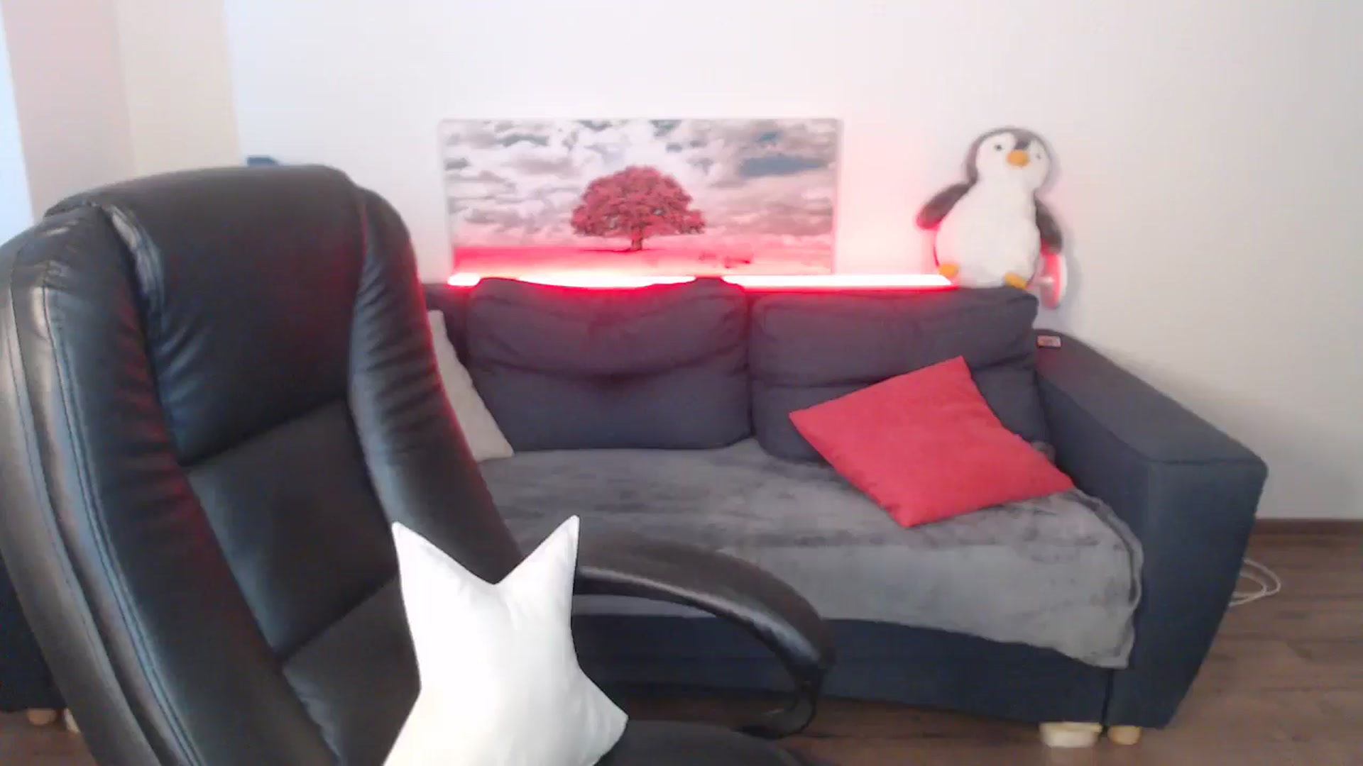 Gallery image thumbnail from Brocard's myfreecams stream on, 08/20/2024, 11:18 image 5 of 20