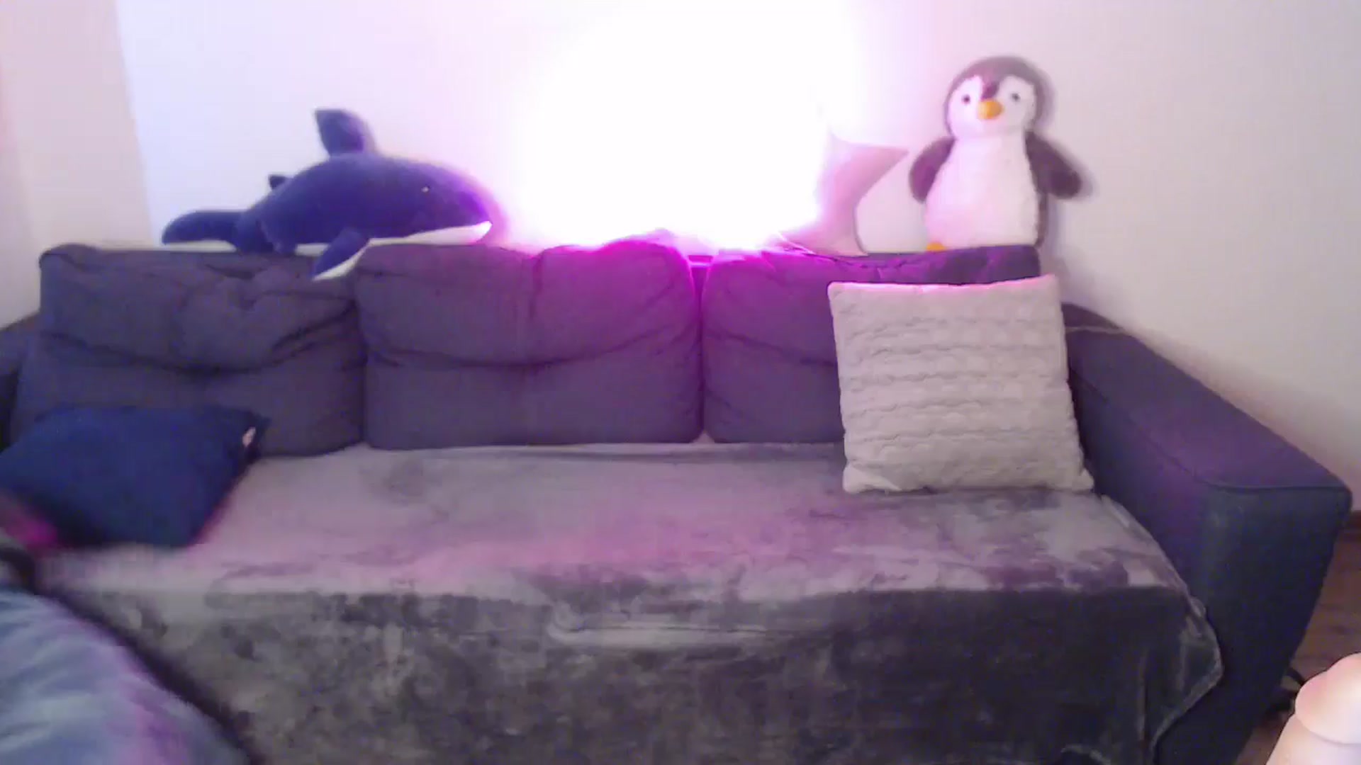 Gallery image thumbnail from Brocard's myfreecams stream on, 04/23/2025, 11:35 image 10 of 20