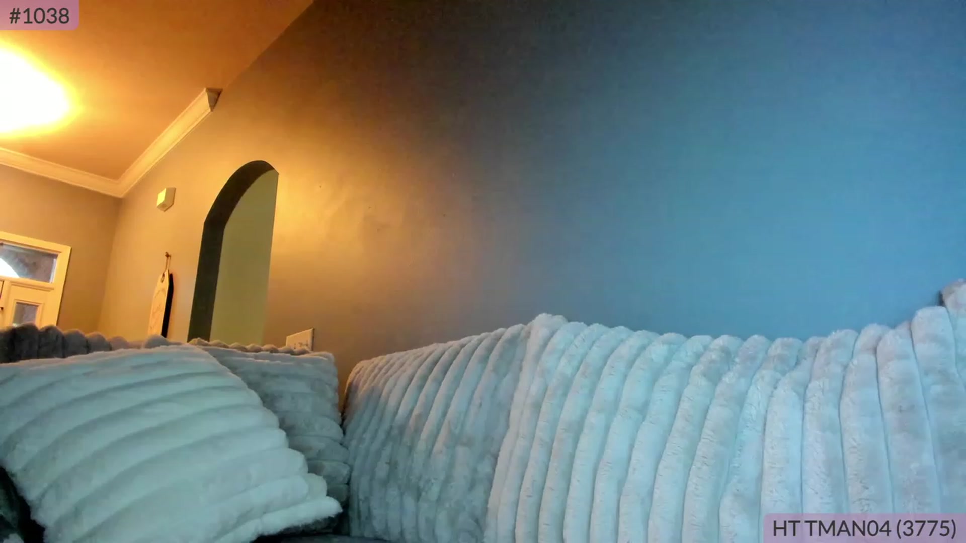 Gallery image thumbnail from BrookeBee's myfreecams stream on, 06/15/2023, 24:16 image 13 of 20