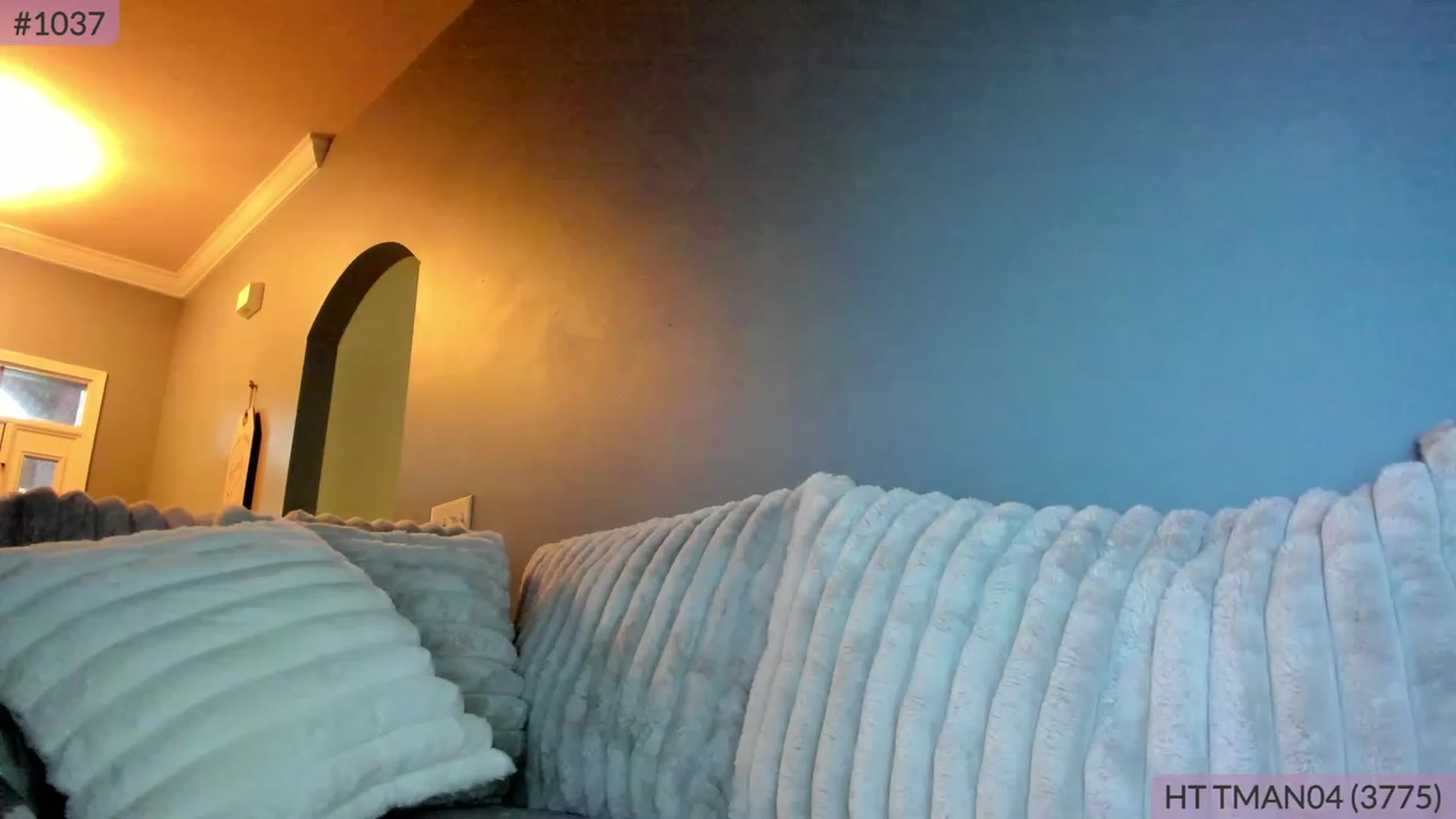 Gallery image thumbnail from BrookeBee's myfreecams stream on, 06/15/2023, 24:16 image 10 of 20