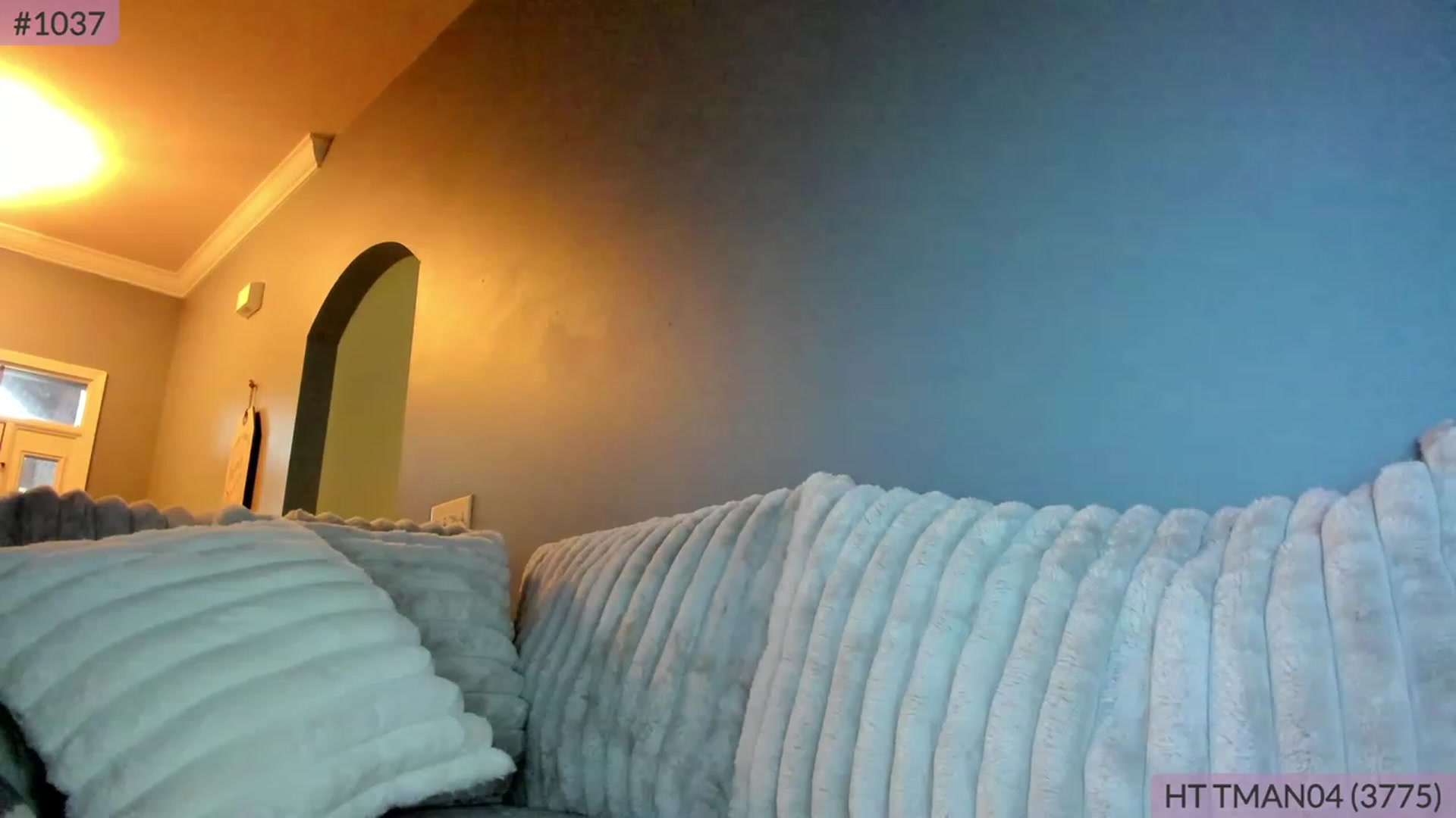Gallery image thumbnail from BrookeBee's myfreecams stream on, 06/15/2023, 24:16 image 8 of 20