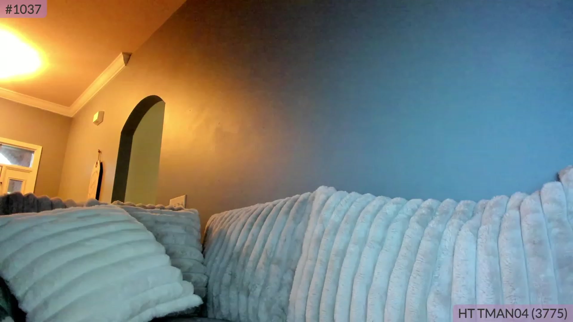 Gallery image thumbnail from BrookeBee's myfreecams stream on, 06/15/2023, 24:16 image 12 of 20