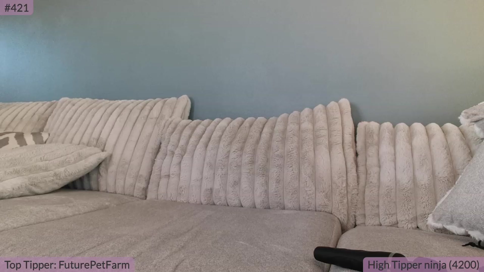 Gallery image thumbnail from BrookeBee's myfreecams stream on, 08/25/2023, 23:05 image 17 of 20