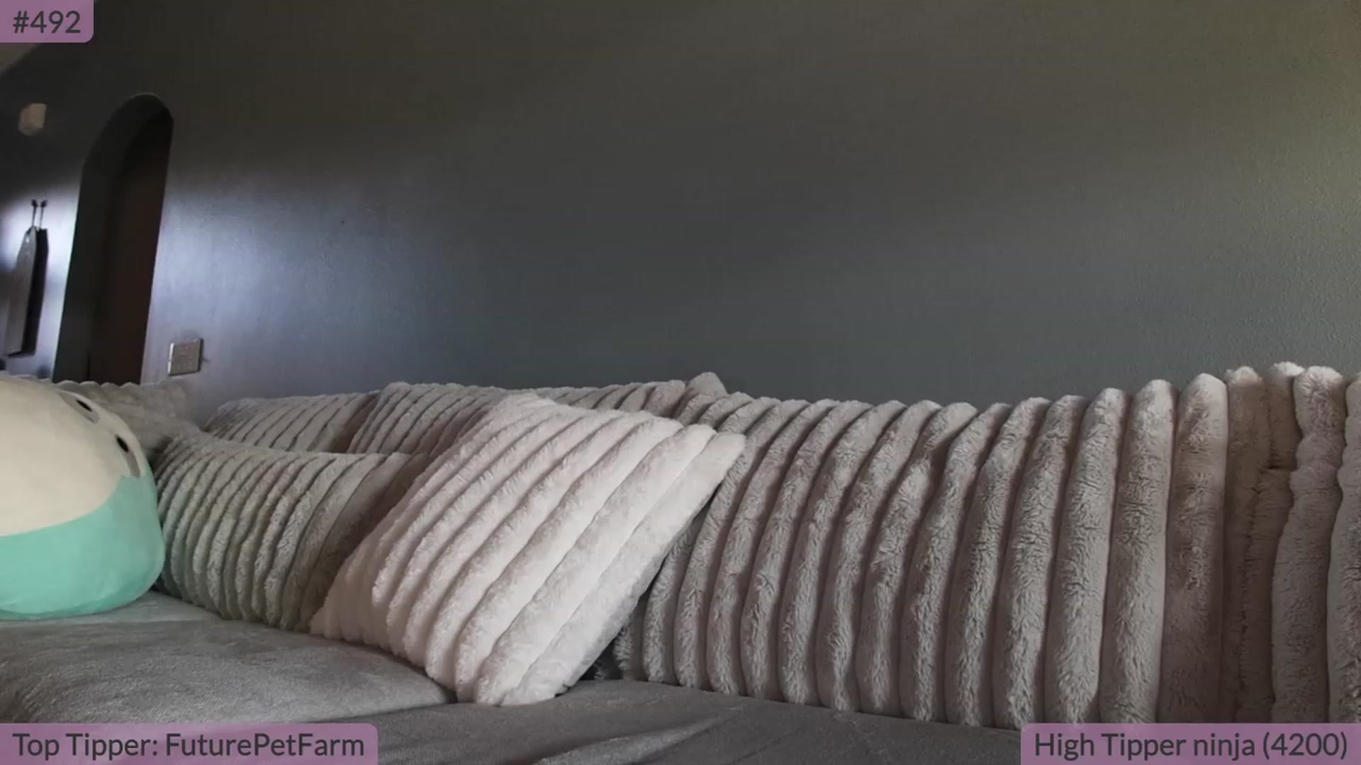 Gallery image thumbnail from BrookeBee's myfreecams stream on, 08/30/2023, 21:18 image 3 of 20