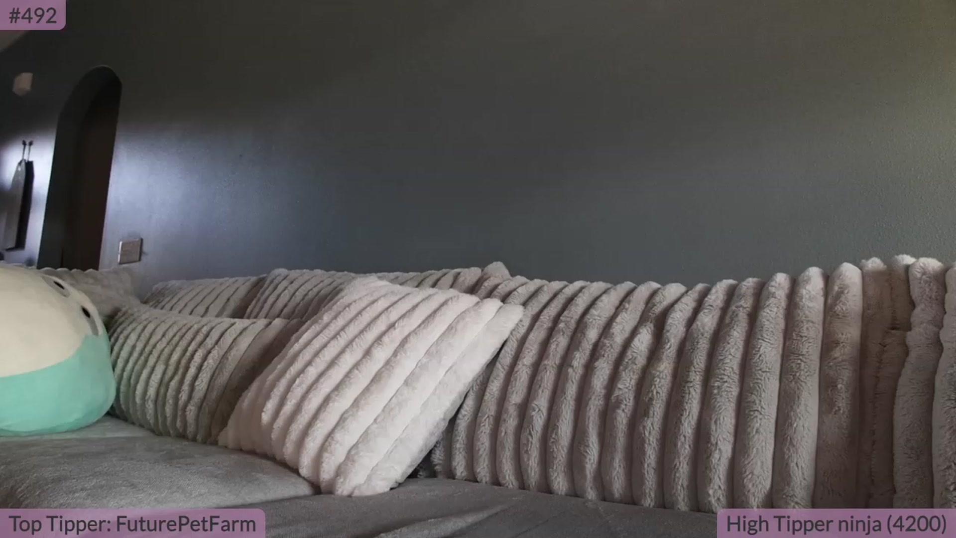 Gallery image thumbnail from BrookeBee's myfreecams stream on, 08/30/2023, 21:18 image 2 of 20