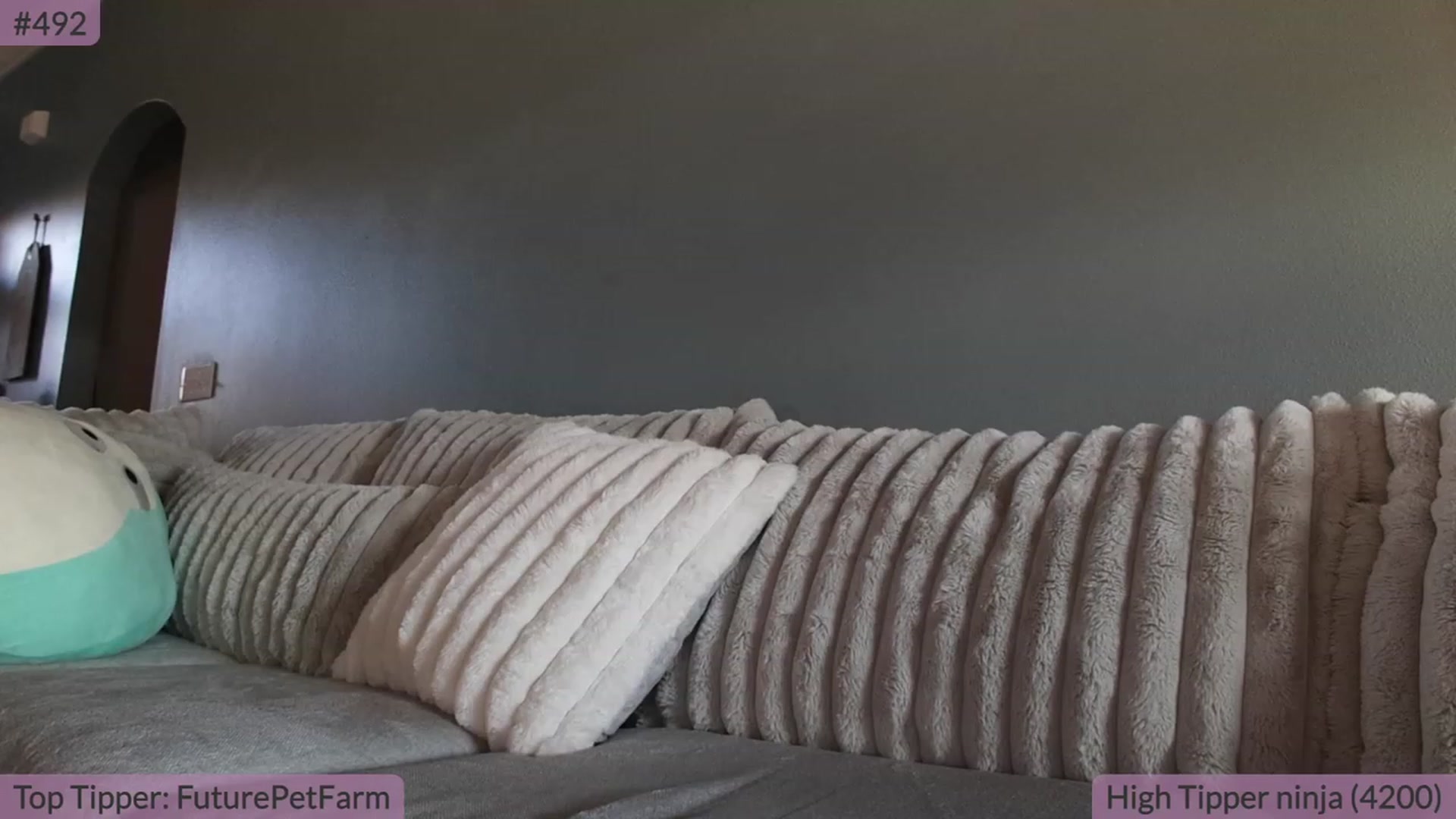 Gallery image thumbnail from BrookeBee's myfreecams stream on, 08/30/2023, 21:18 image 6 of 20