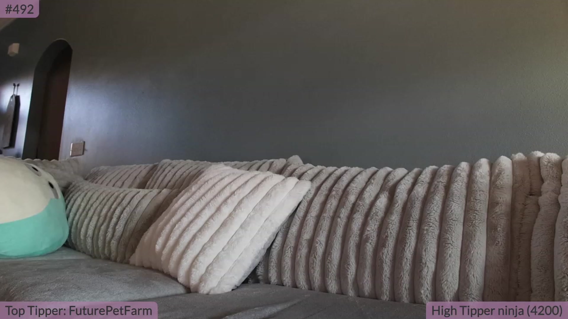 Gallery image thumbnail from BrookeBee's myfreecams stream on, 08/30/2023, 21:18 image 7 of 20