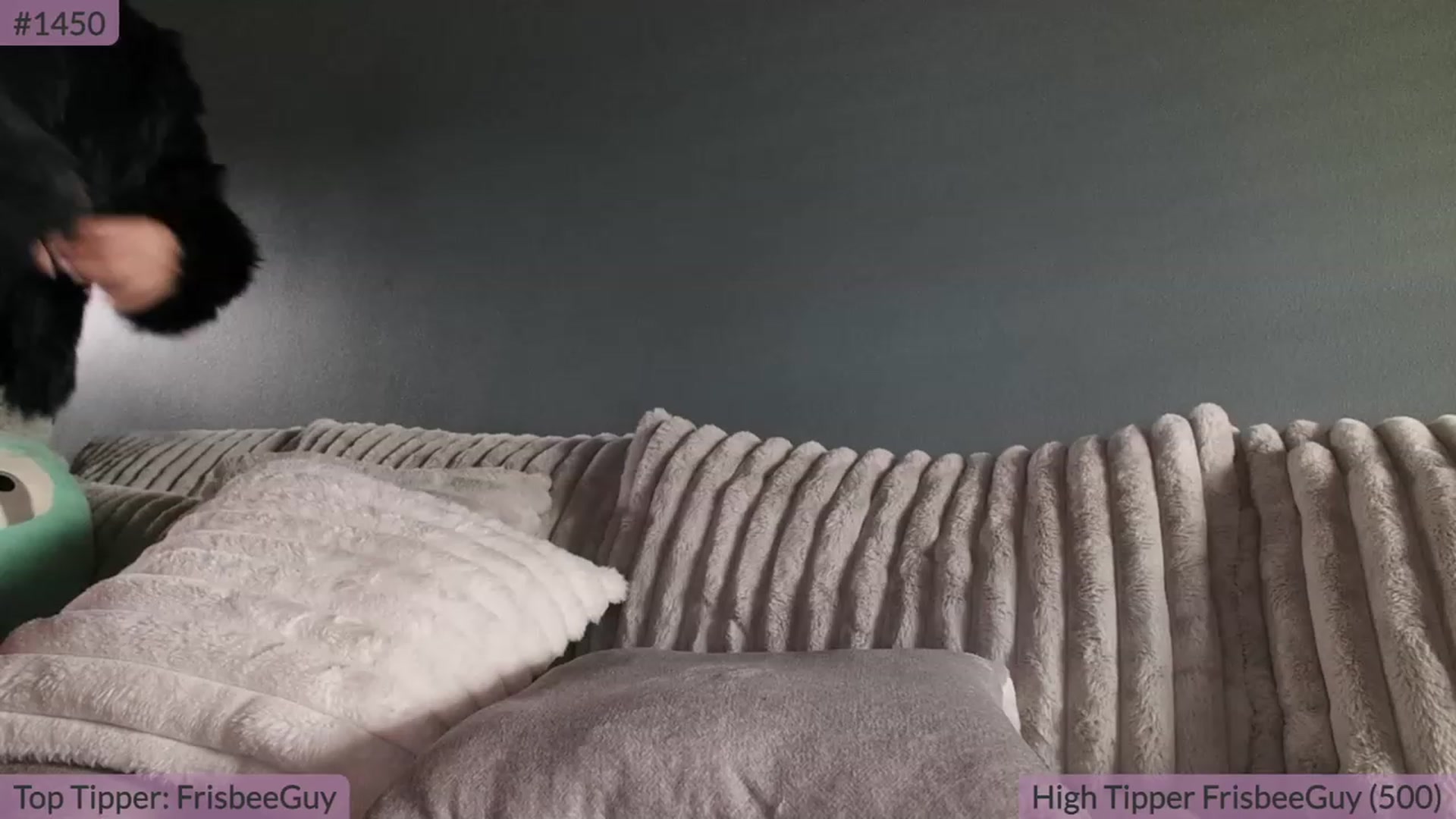 Gallery image thumbnail from BrookeBee's myfreecams stream on, 09/04/2023, 20:11 image 17 of 20