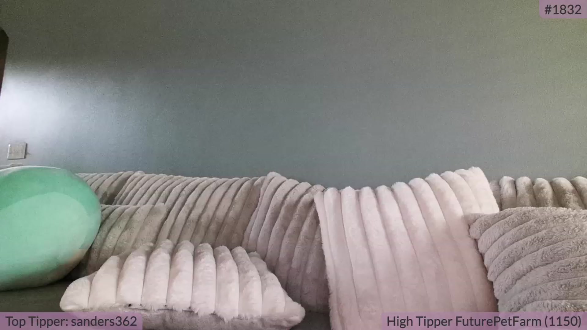 Gallery image thumbnail from BrookeBee's myfreecams stream on, 09/13/2023, 20:46 image 6 of 20