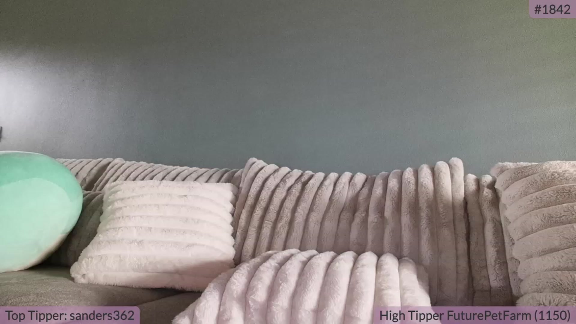 Gallery image thumbnail from BrookeBee's myfreecams stream on, 09/13/2023, 20:46 image 16 of 20