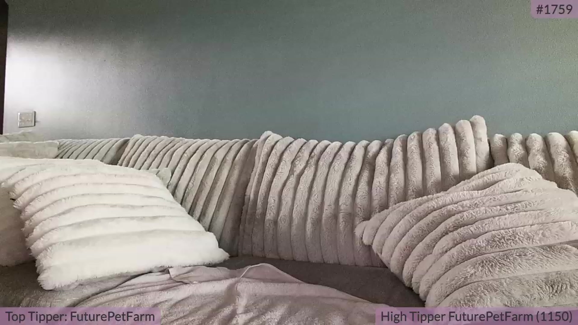 Gallery image thumbnail from BrookeBee's myfreecams stream on, 09/15/2023, 21:15 image 10 of 20