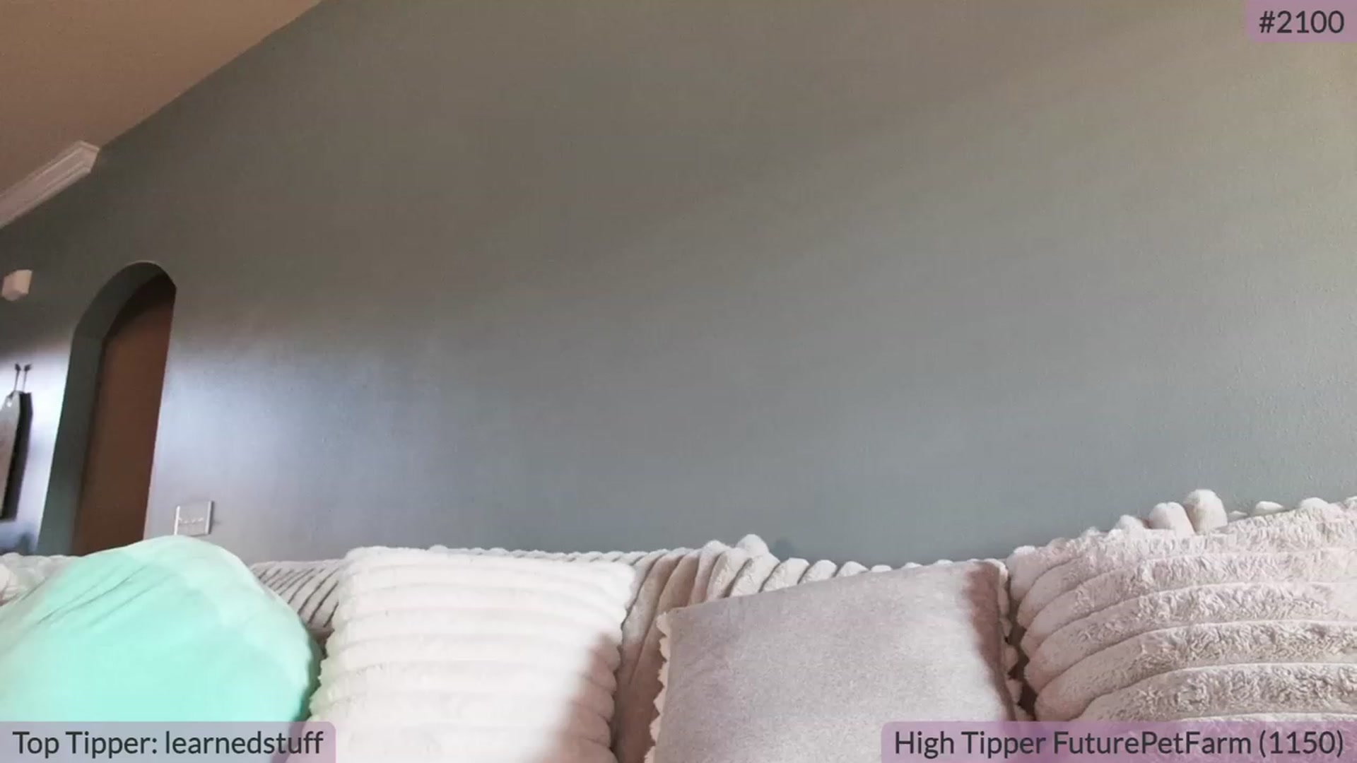 Gallery image thumbnail from BrookeBee's myfreecams stream on, 09/19/2023, 21:28 image 18 of 20