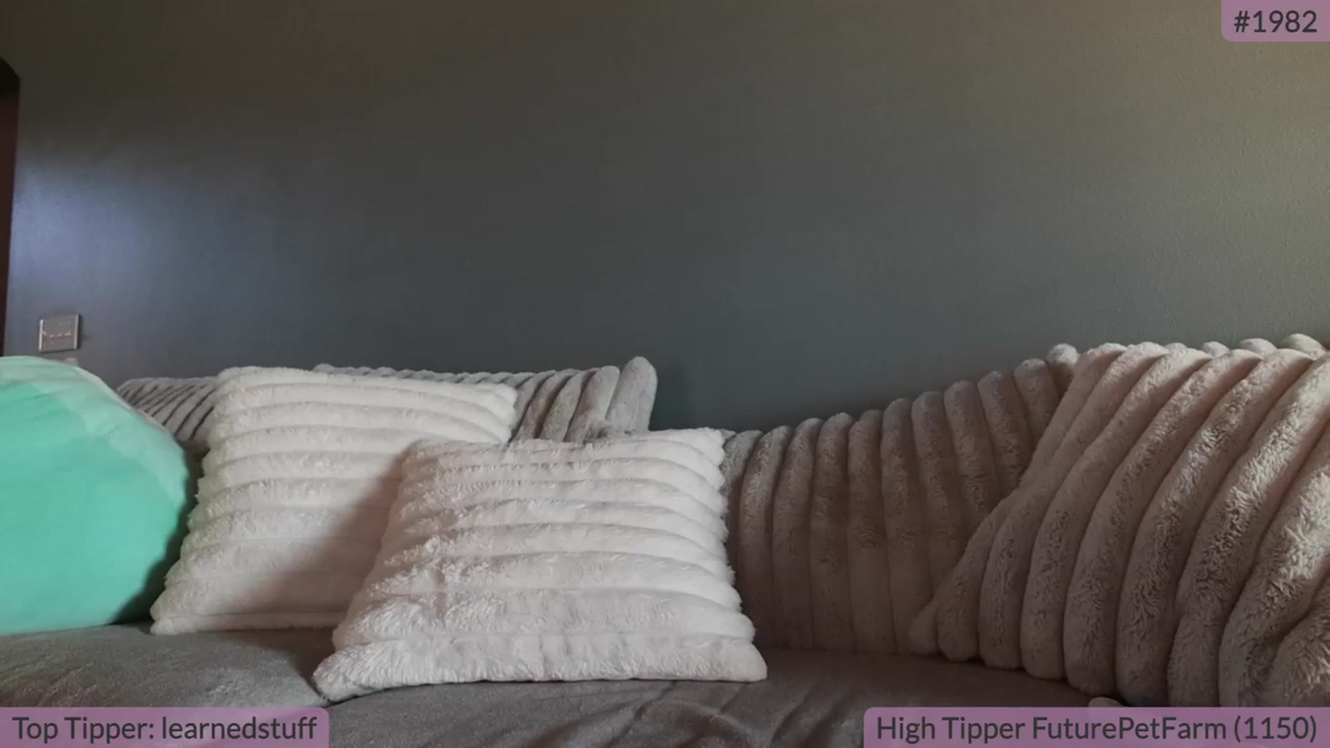 Gallery image thumbnail from BrookeBee's myfreecams stream on, 09/19/2023, 21:53 image 10 of 20