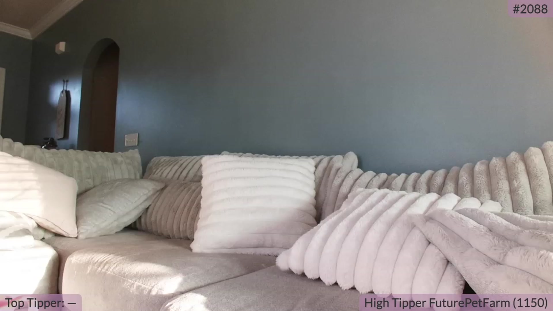 Gallery image thumbnail from BrookeBee's myfreecams stream on, 09/20/2023, 23:05 image 13 of 20