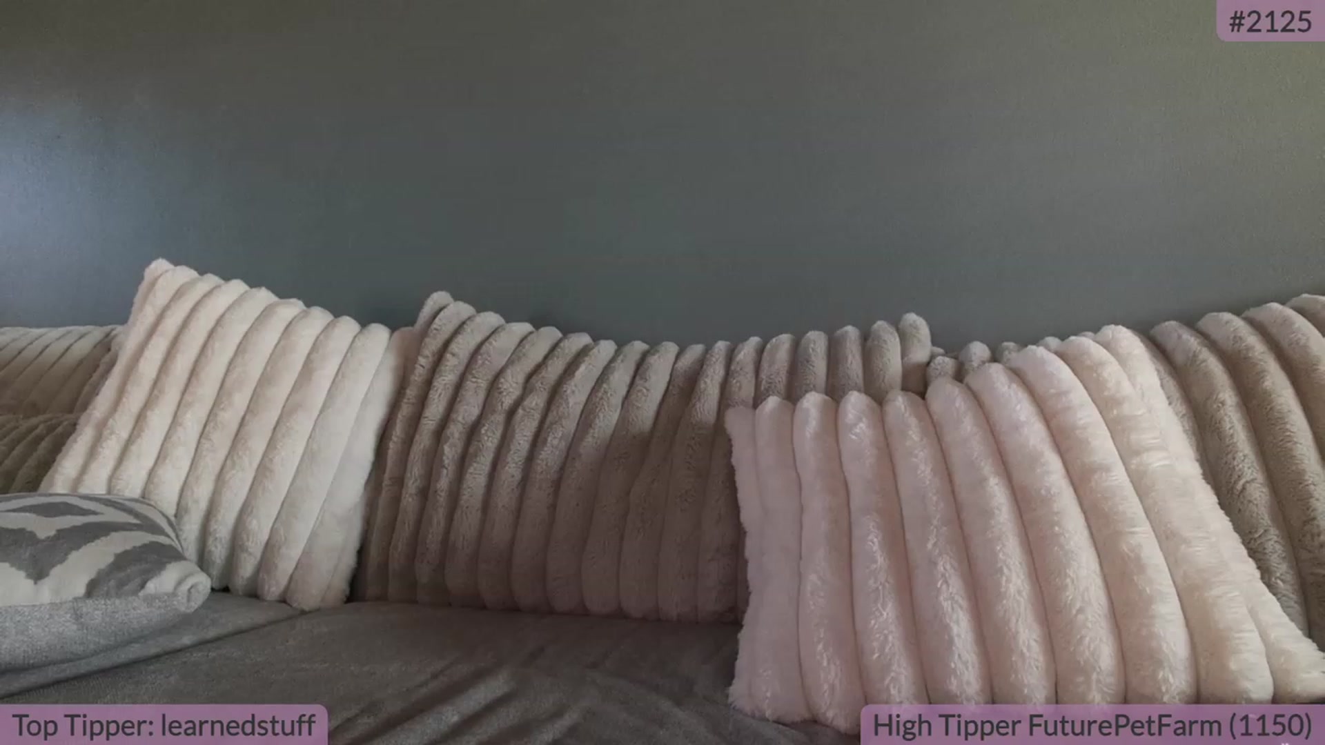 Gallery image thumbnail from BrookeBee's myfreecams stream on, 09/25/2023, 20:46 image 18 of 20