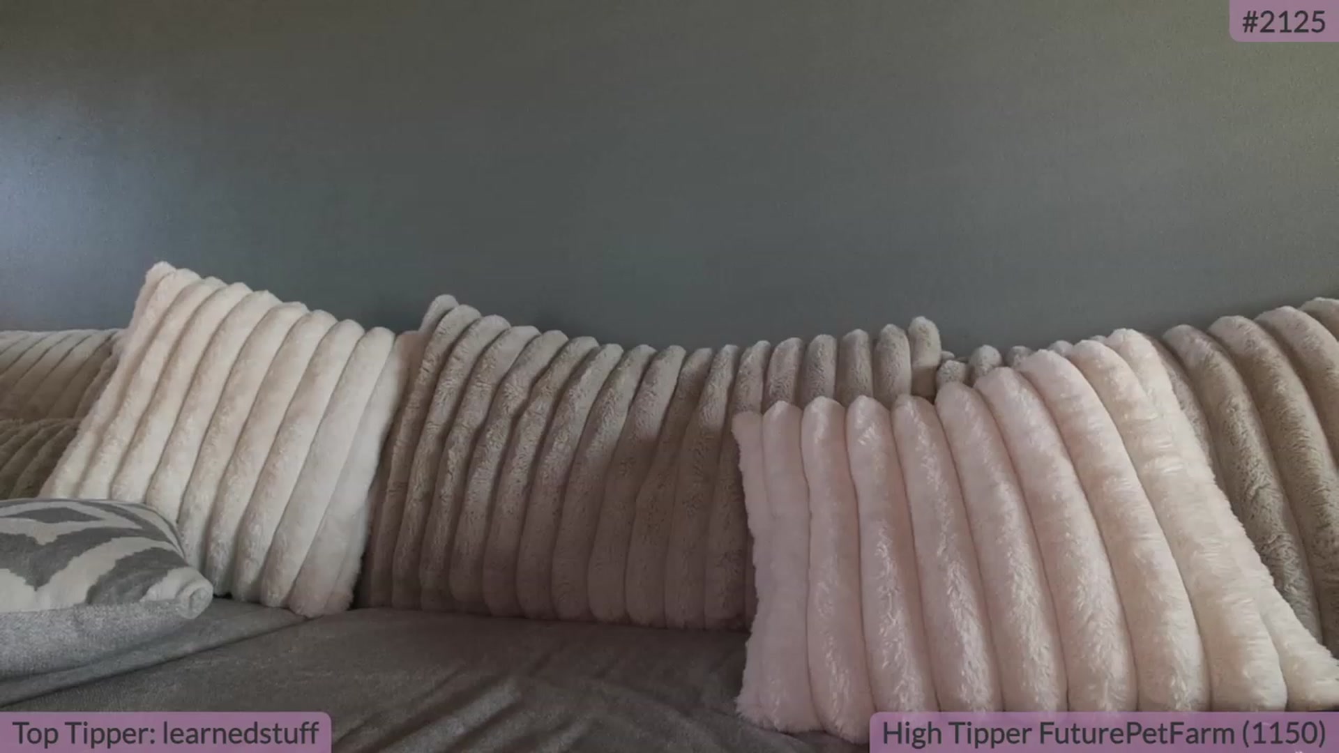 Gallery image thumbnail from BrookeBee's myfreecams stream on, 09/25/2023, 20:46 image 9 of 20