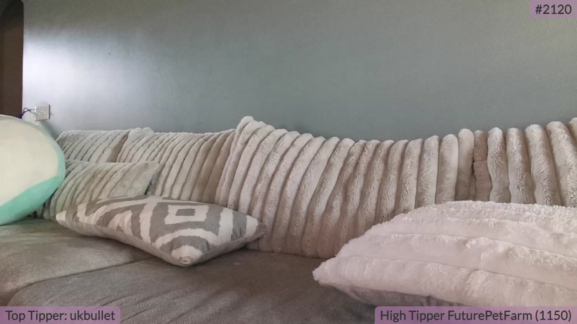 Gallery image thumbnail from BrookeBee's myfreecams stream on, 09/29/2023, 20:20 image 4 of 20