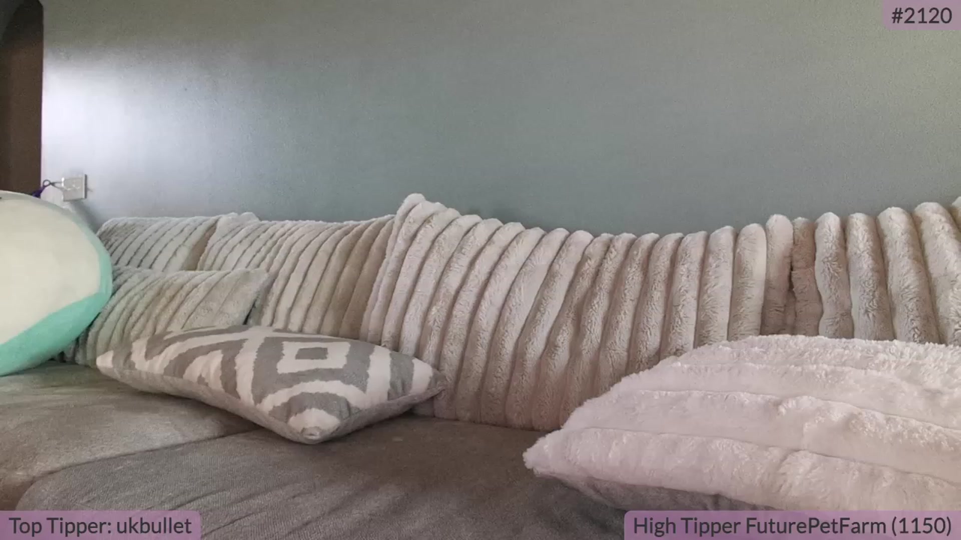 Gallery image thumbnail from BrookeBee's myfreecams stream on, 09/29/2023, 20:20 image 10 of 20