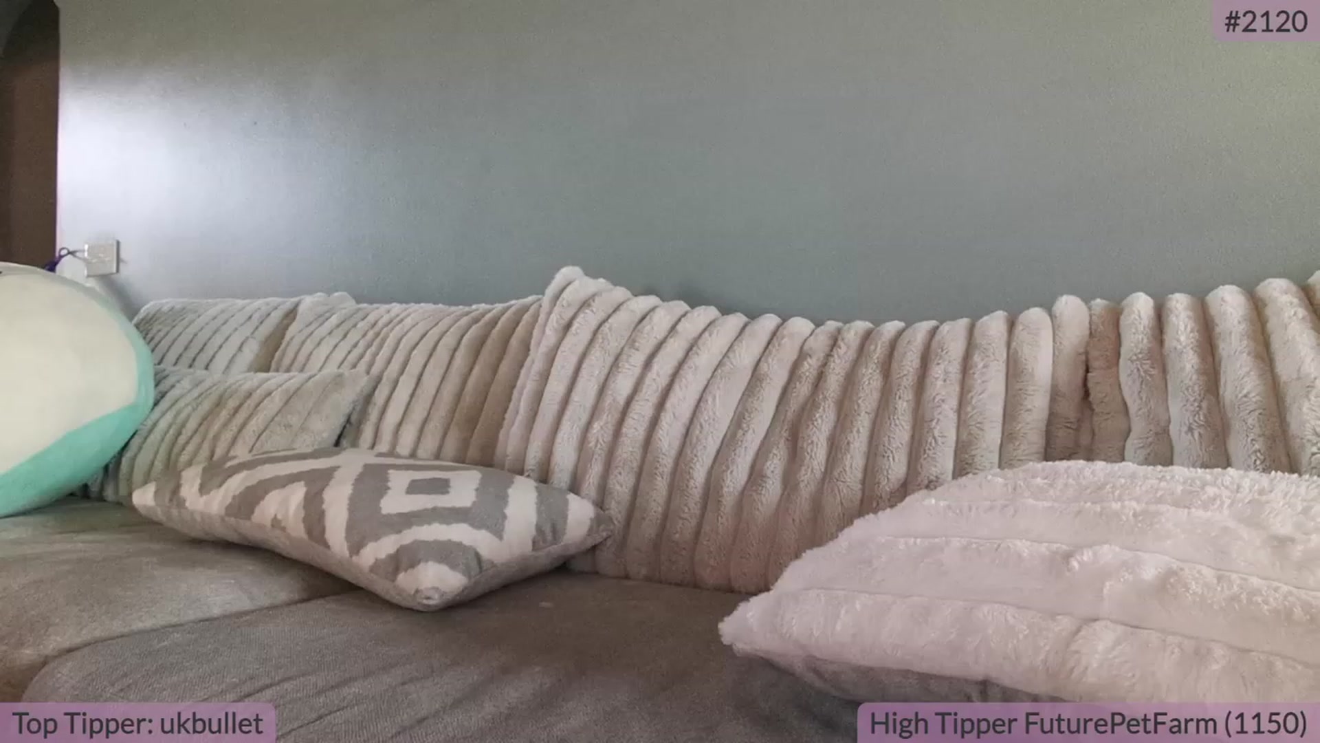 Gallery image thumbnail from BrookeBee's myfreecams stream on, 09/29/2023, 20:20 image 11 of 20