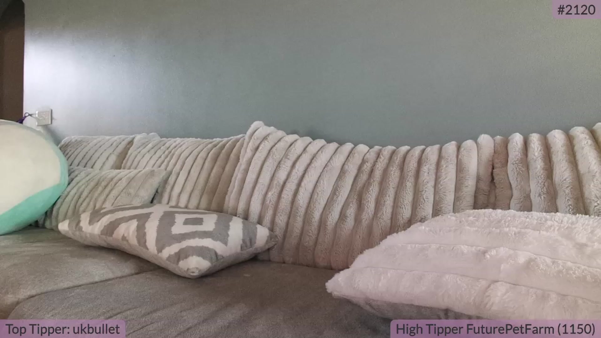 Gallery image thumbnail from BrookeBee's myfreecams stream on, 09/29/2023, 20:20 image 6 of 20