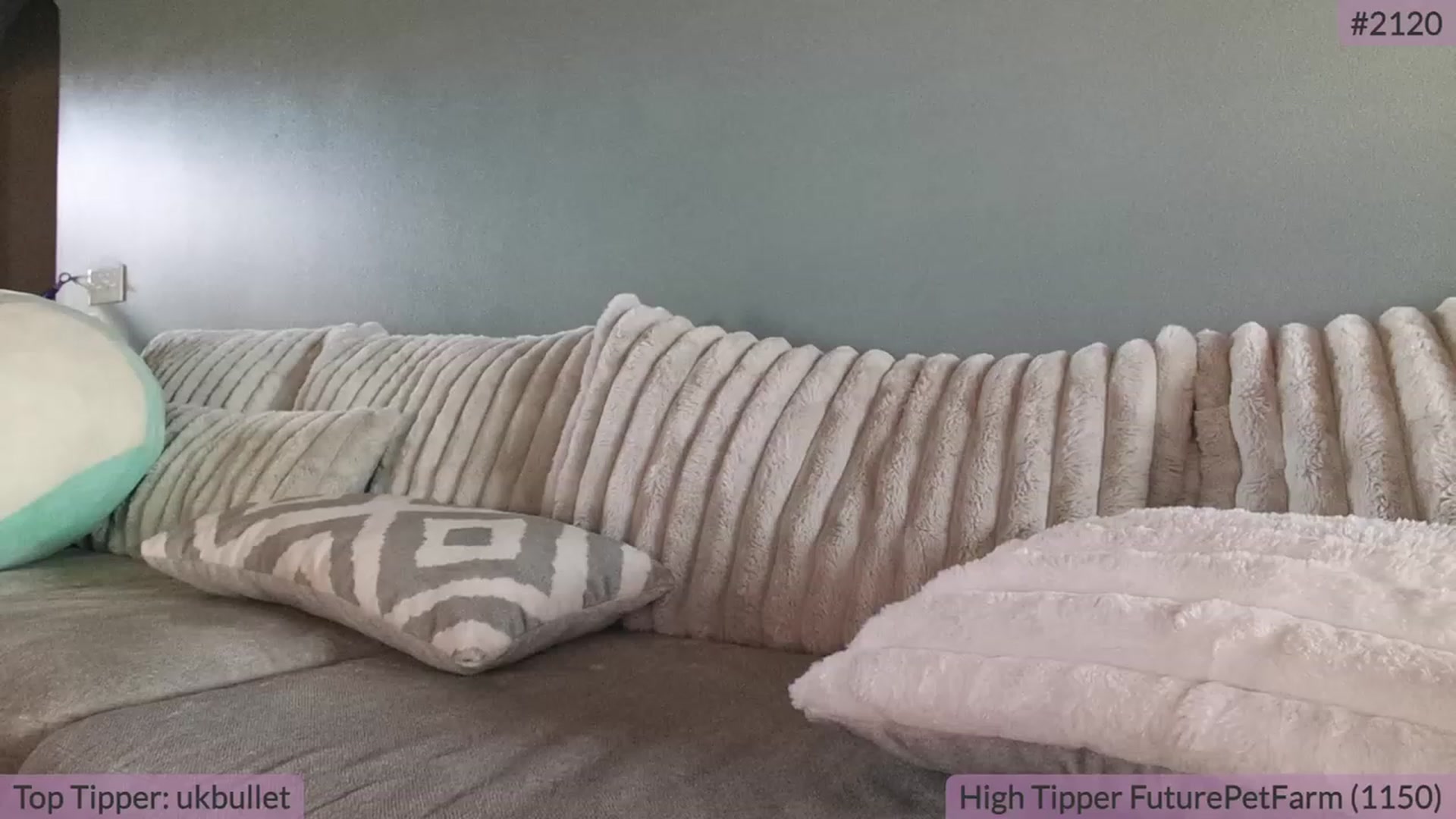 Gallery image thumbnail from BrookeBee's myfreecams stream on, 09/29/2023, 20:20 image 2 of 20