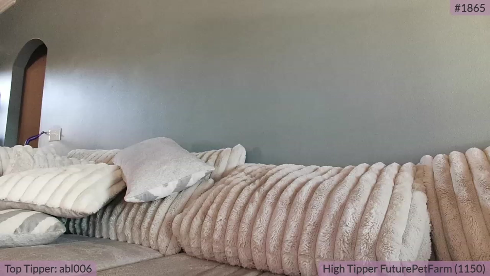 Gallery image thumbnail from BrookeBee's myfreecams stream on, 09/30/2023, 22:13 image 9 of 20