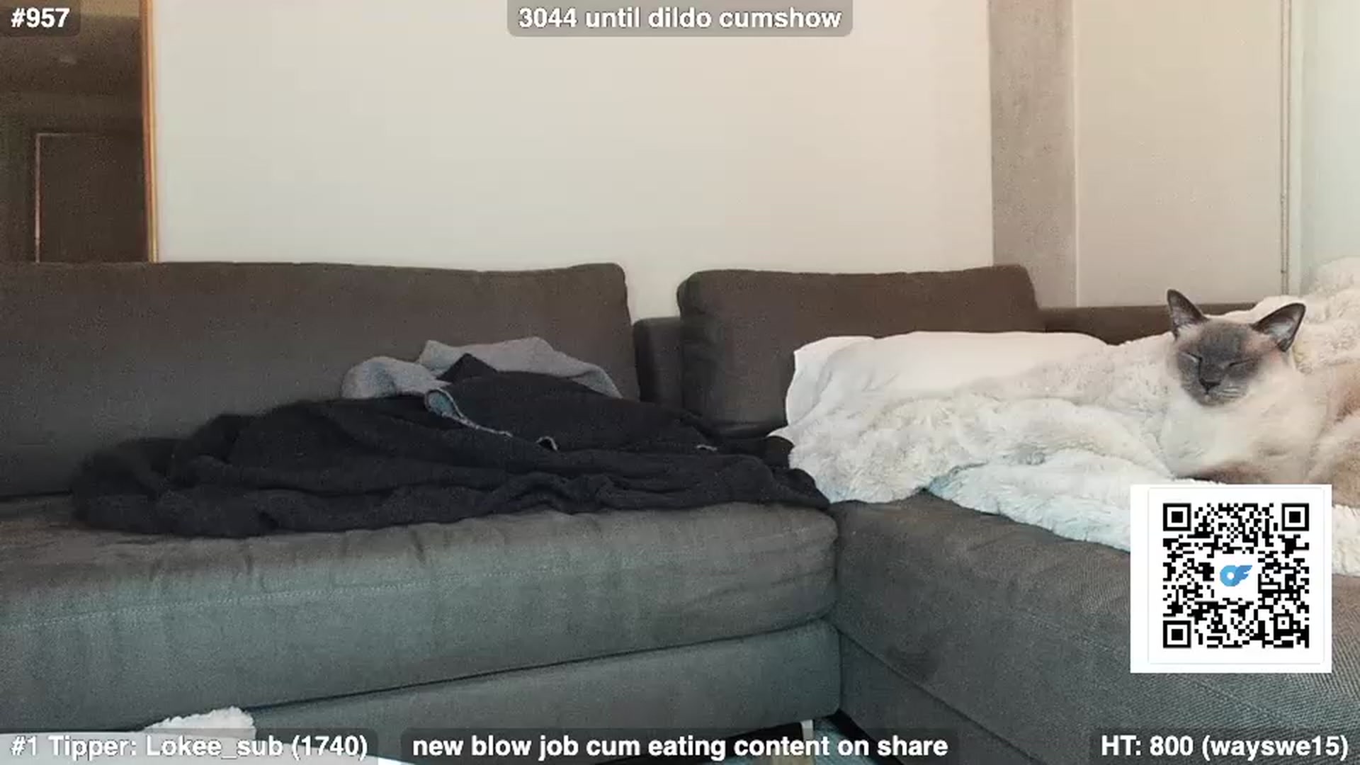 Gallery image thumbnail from Brookebaby_'s myfreecams stream on, 12/23/2022, 14:22 image 16 of 20