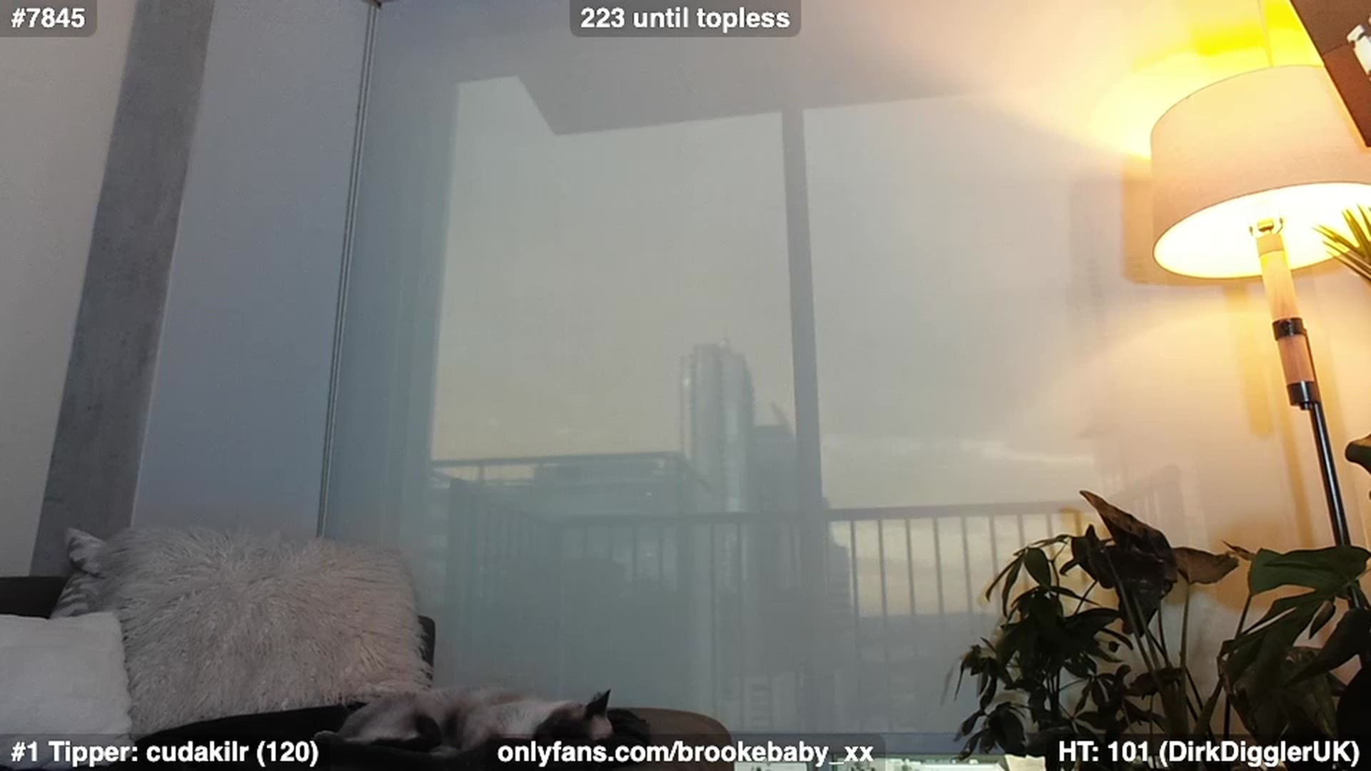 Gallery image thumbnail from Brookebaby_'s myfreecams stream on, 01/08/2023, 14:01 image 11 of 20