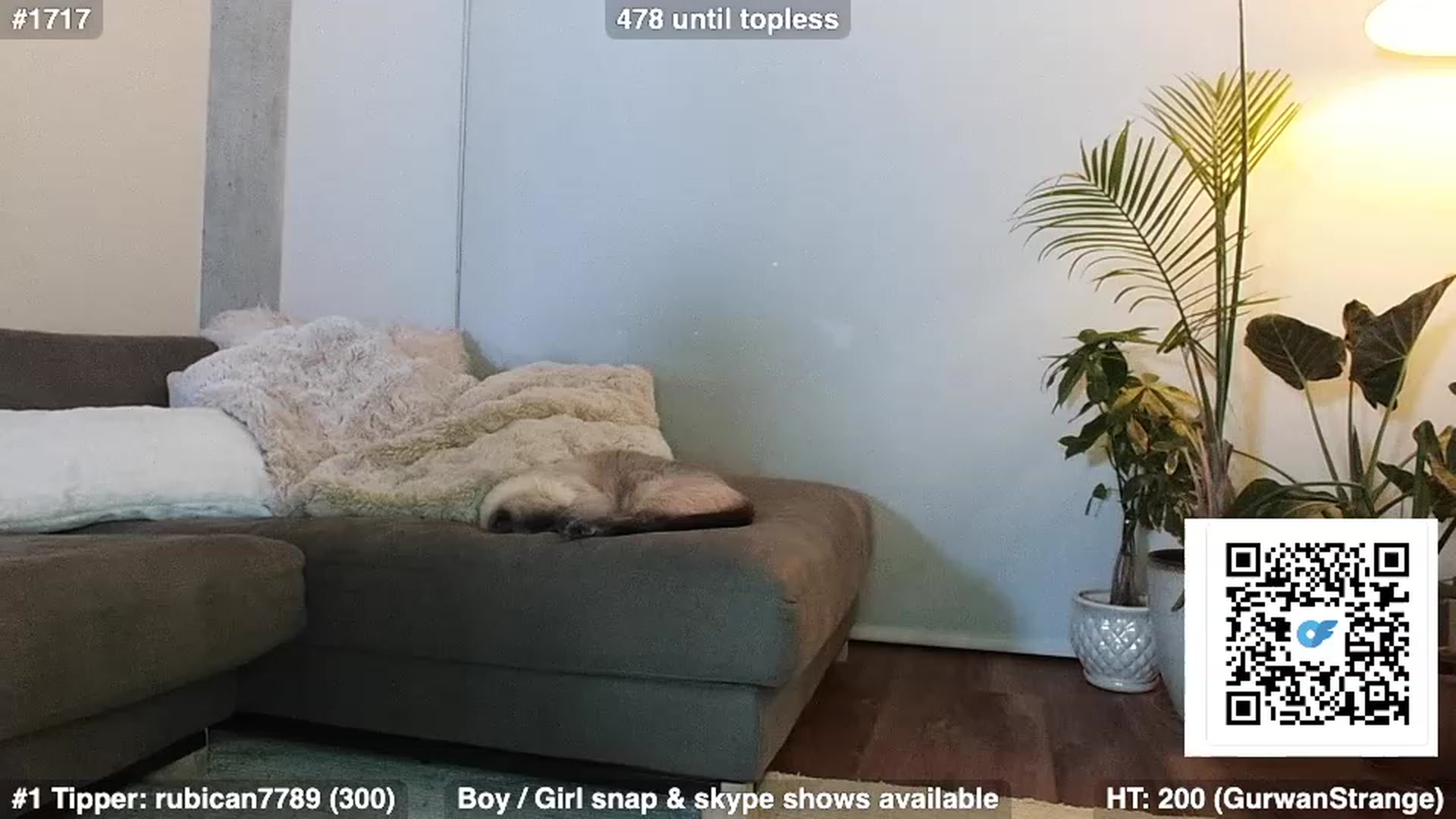 Gallery image thumbnail from Brookebaby_'s myfreecams stream on, 01/20/2023, 07:43 image 12 of 20