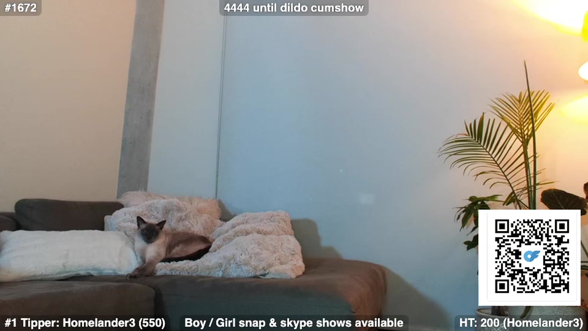 Gallery image thumbnail from Brookebaby_'s myfreecams stream on, 01/20/2023, 09:49 image 5 of 20